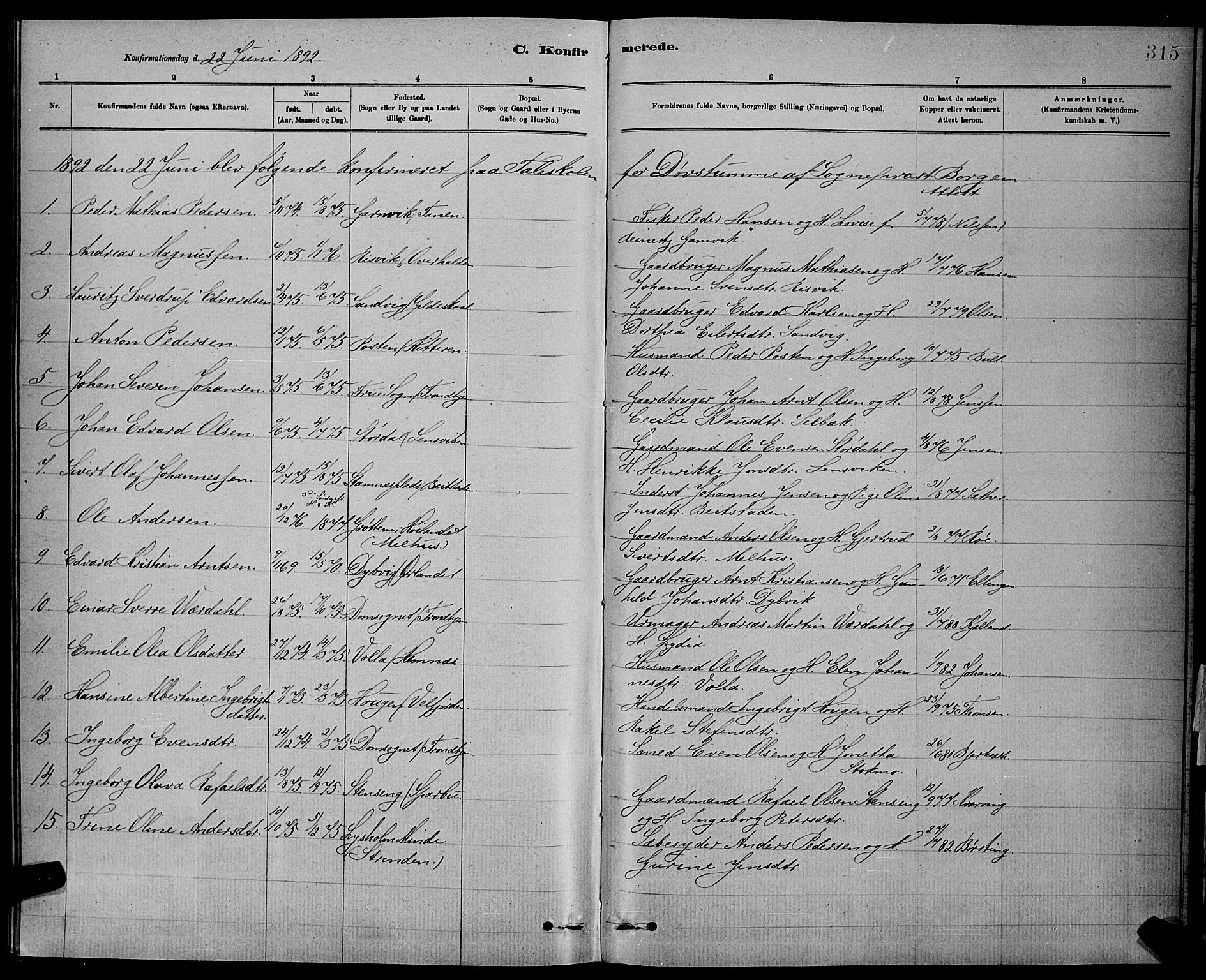 Ministerialprotokoller, klokkerbøker og fødselsregistre - Sør-Trøndelag, AV/SAT-A-1456/601/L0092: Parish register (copy) no. 601C10, 1884-1897, p. 315