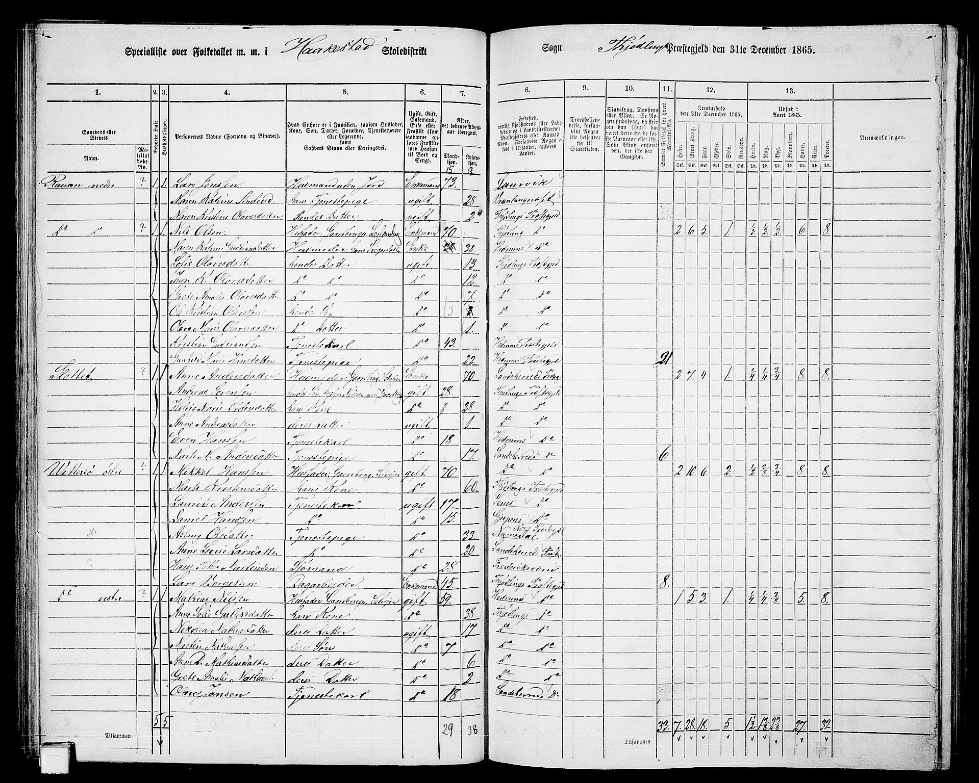 RA, 1865 census for Tjølling, 1865, p. 79