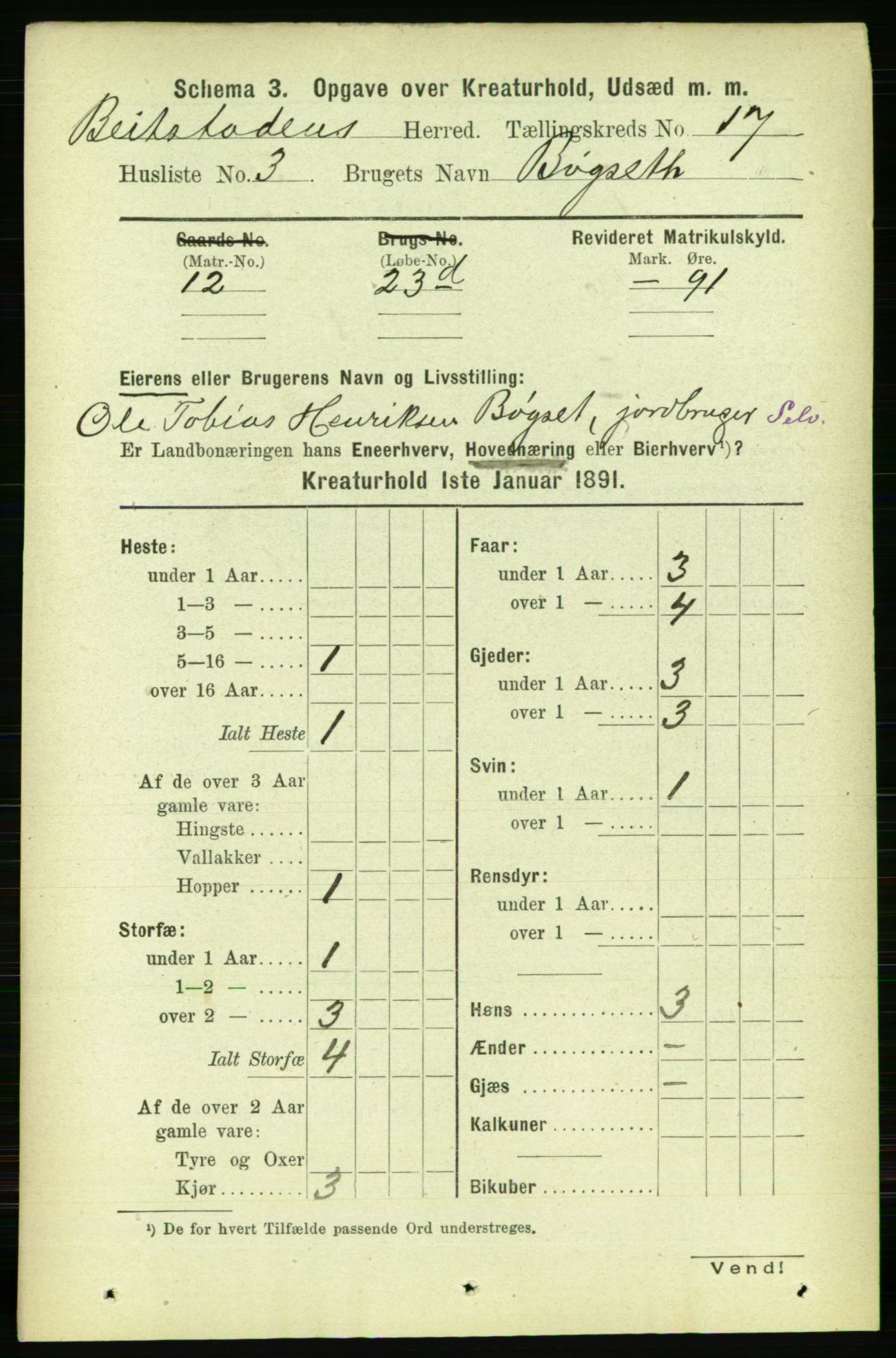 RA, 1891 census for 1727 Beitstad, 1891, p. 6709