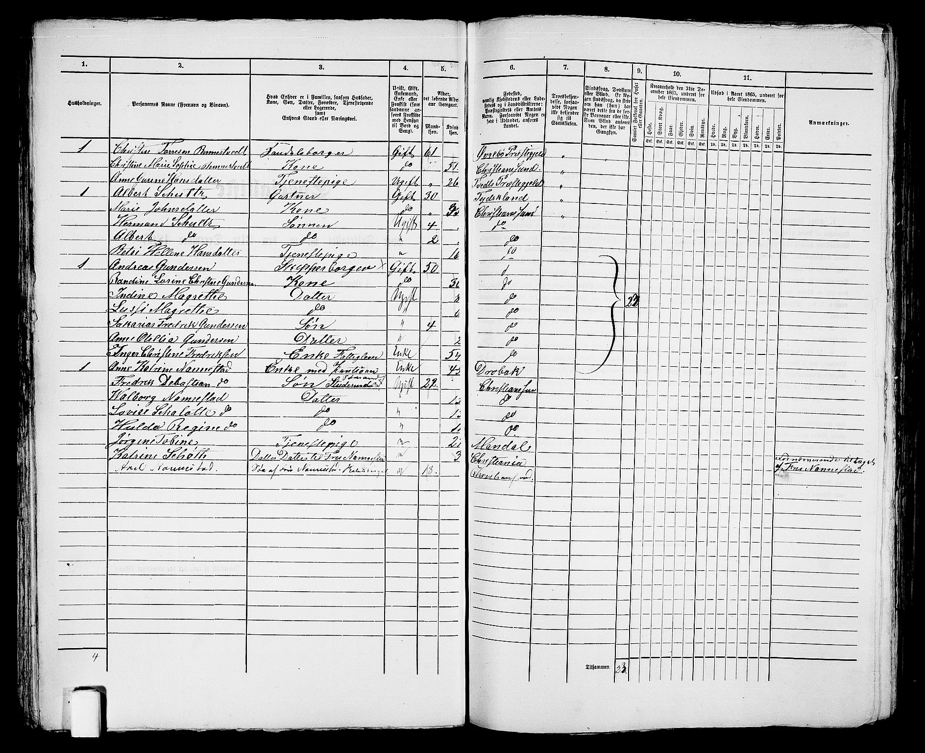 RA, 1865 census for Kristiansand, 1865, p. 569