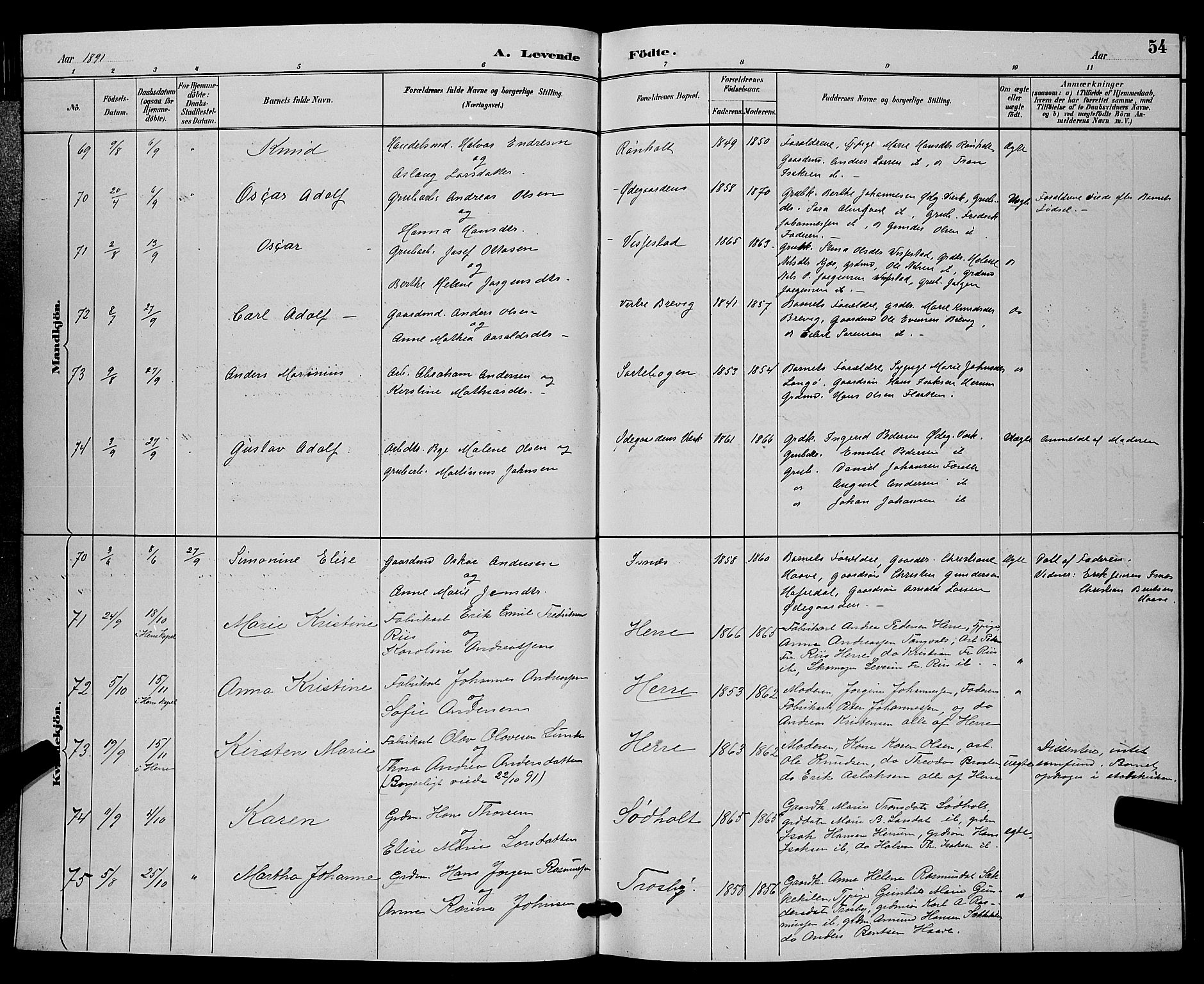 Bamble kirkebøker, AV/SAKO-A-253/G/Ga/L0009: Parish register (copy) no. I 9, 1888-1900, p. 54