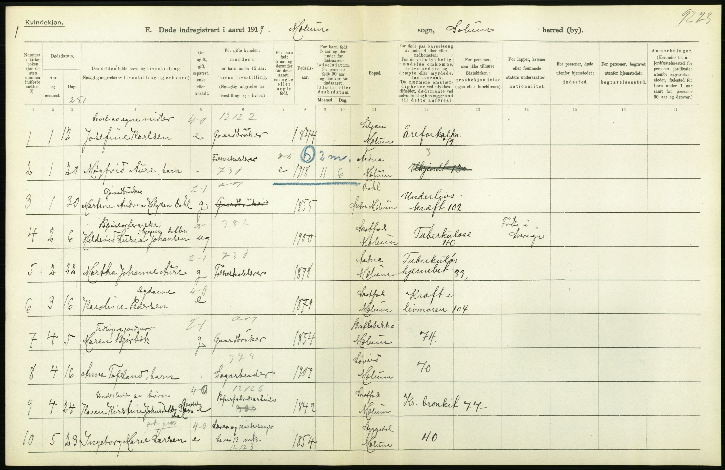 Statistisk sentralbyrå, Sosiodemografiske emner, Befolkning, RA/S-2228/D/Df/Dfb/Dfbi/L0023: Telemark fylke: Døde. Bygder og byer., 1919, p. 232