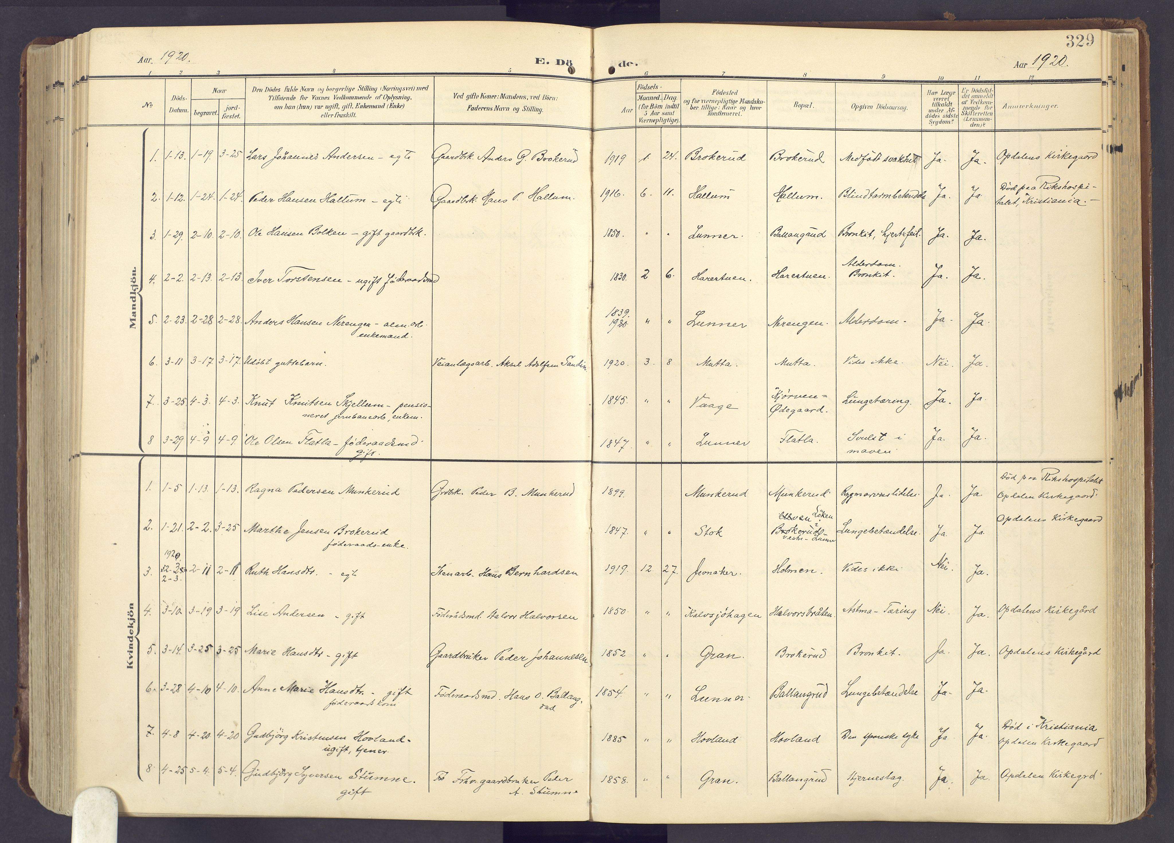 Lunner prestekontor, SAH/PREST-118/H/Ha/Haa/L0001: Parish register (official) no. 1, 1907-1922, p. 329