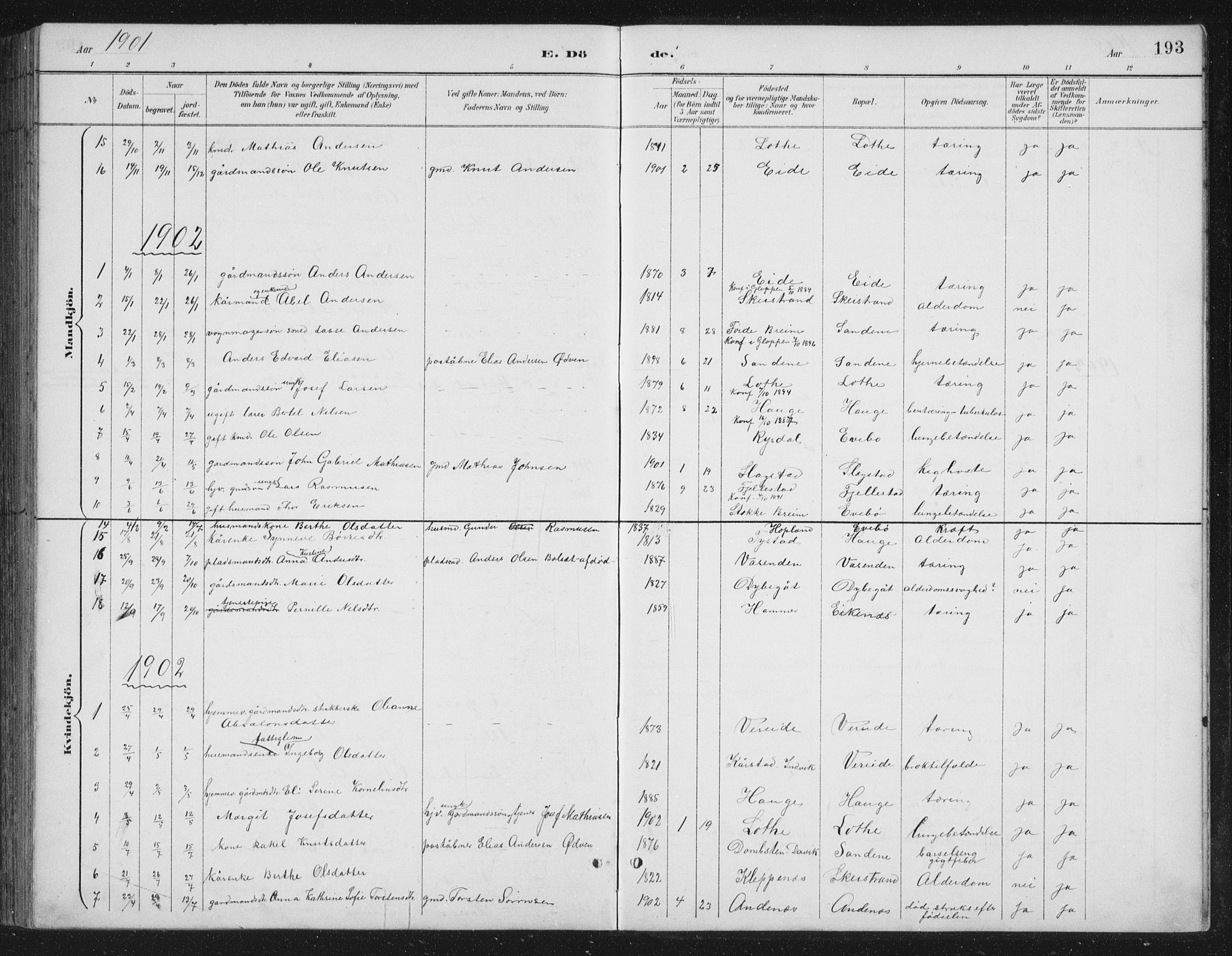 Gloppen sokneprestembete, AV/SAB-A-80101/H/Hab/Habb/L0002: Parish register (copy) no. B 2, 1889-1909, p. 193