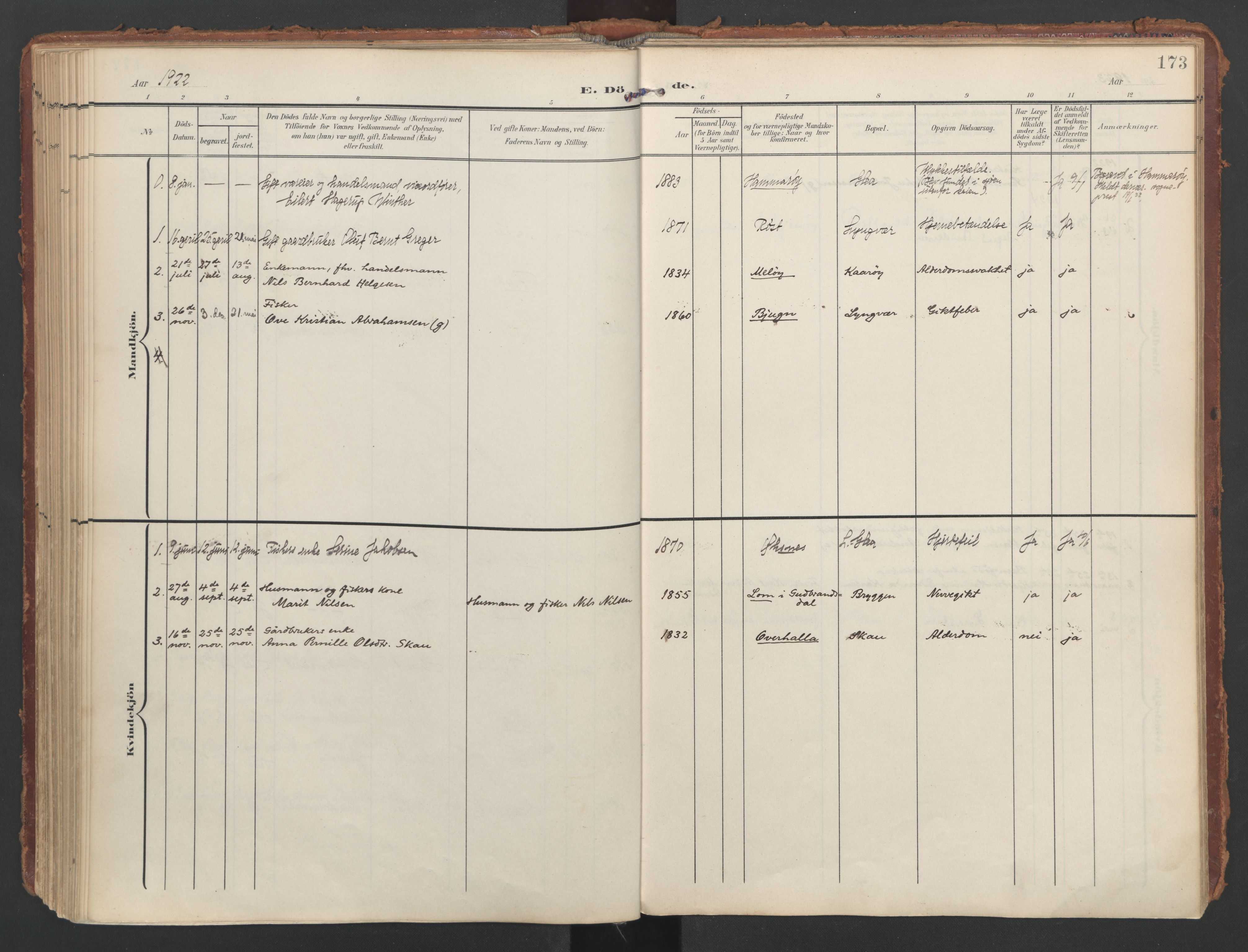 Ministerialprotokoller, klokkerbøker og fødselsregistre - Nordland, SAT/A-1459/808/L0129: Parish register (official) no. 808A02, 1903-1931, p. 173