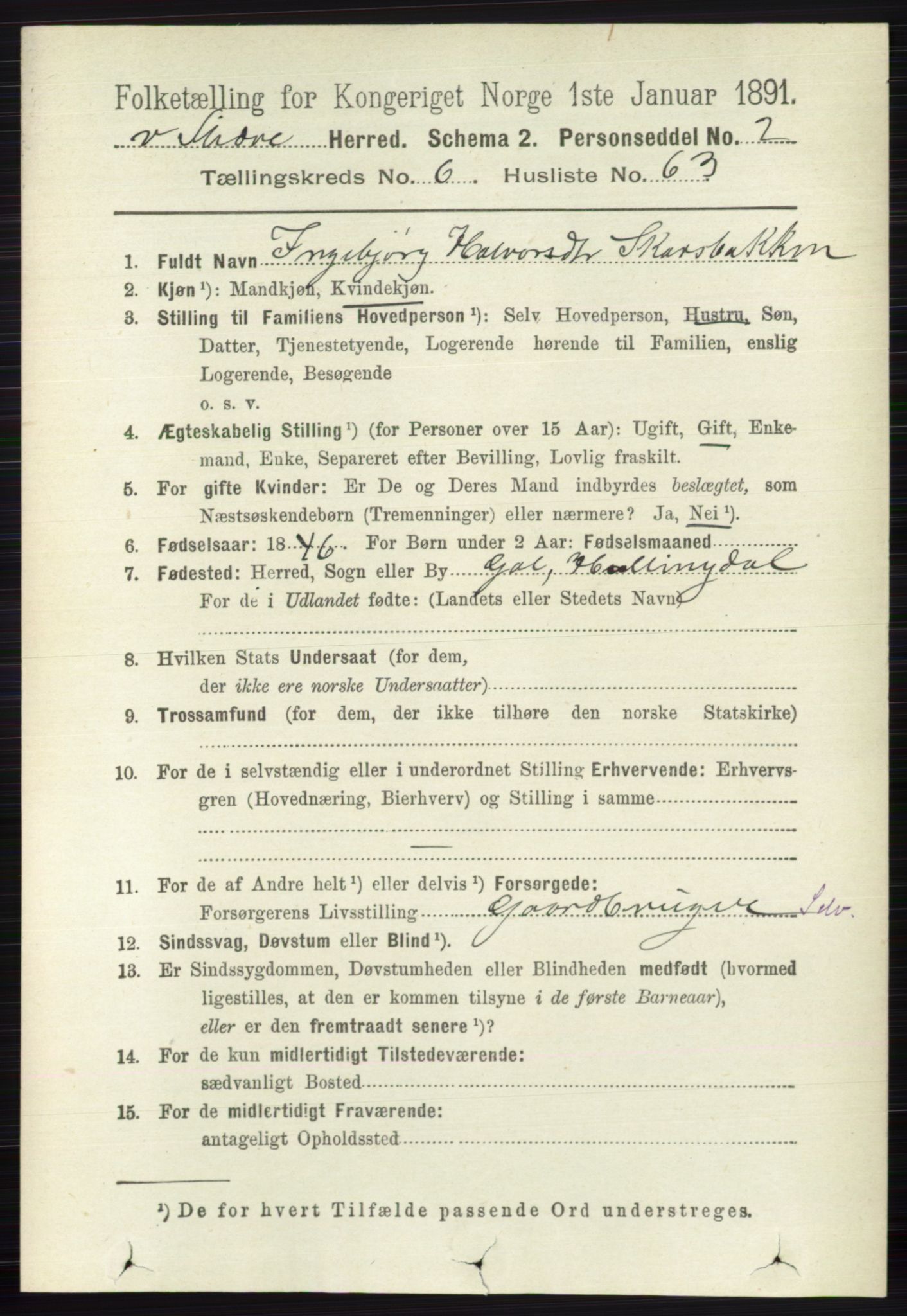 RA, 1891 census for 0543 Vestre Slidre, 1891, p. 2452