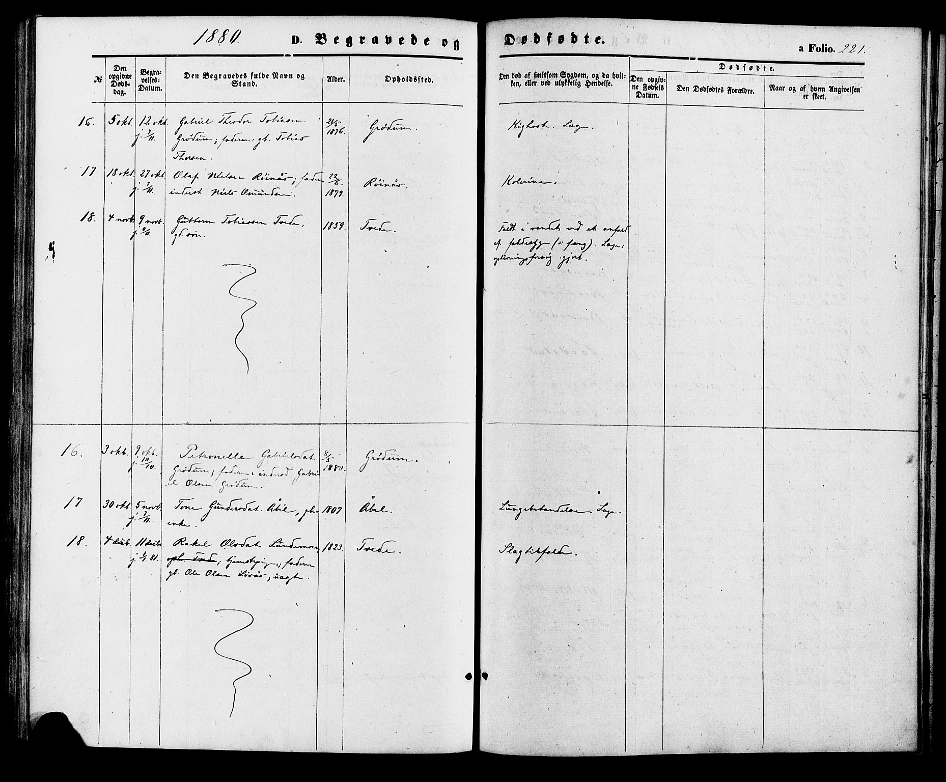 Birkenes sokneprestkontor, AV/SAK-1111-0004/F/Fa/L0004: Parish register (official) no. A 4, 1867-1886, p. 221