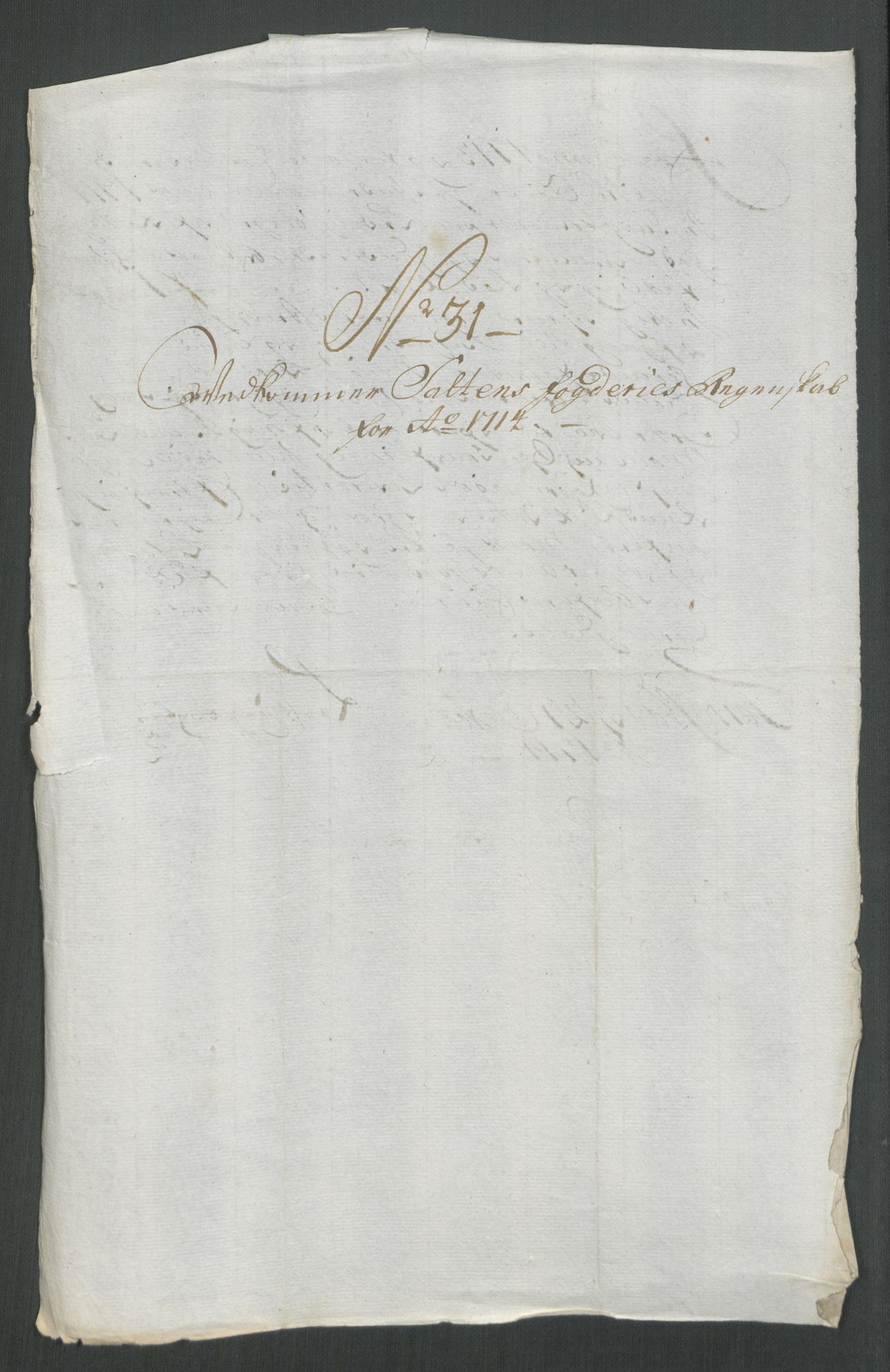 Rentekammeret inntil 1814, Reviderte regnskaper, Fogderegnskap, AV/RA-EA-4092/R66/L4584: Fogderegnskap Salten, 1714, p. 270