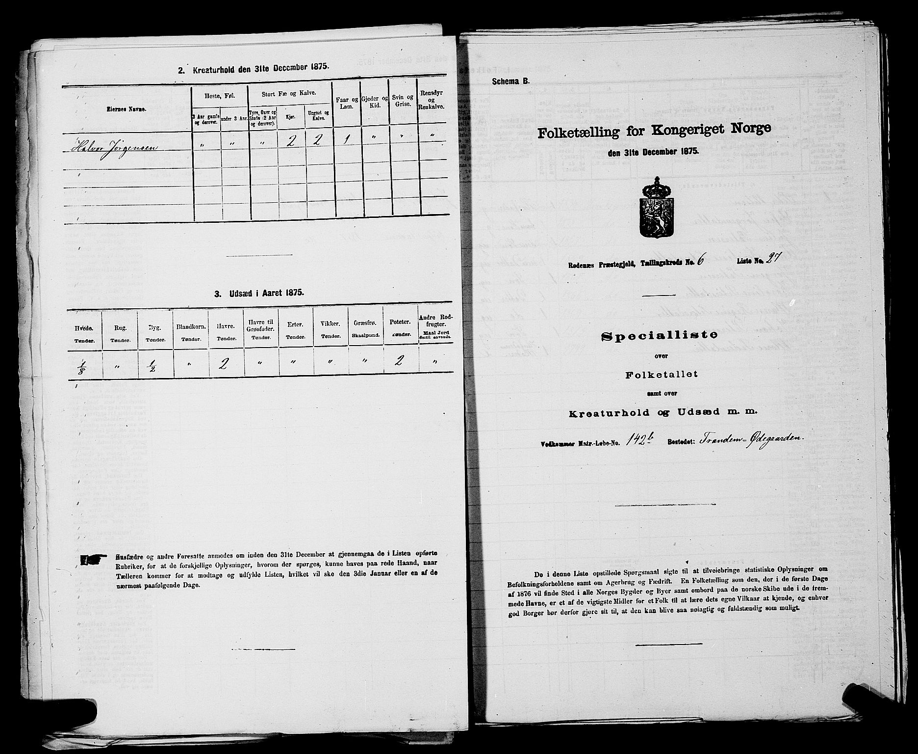 RA, 1875 census for 0120P Rødenes, 1875, p. 838