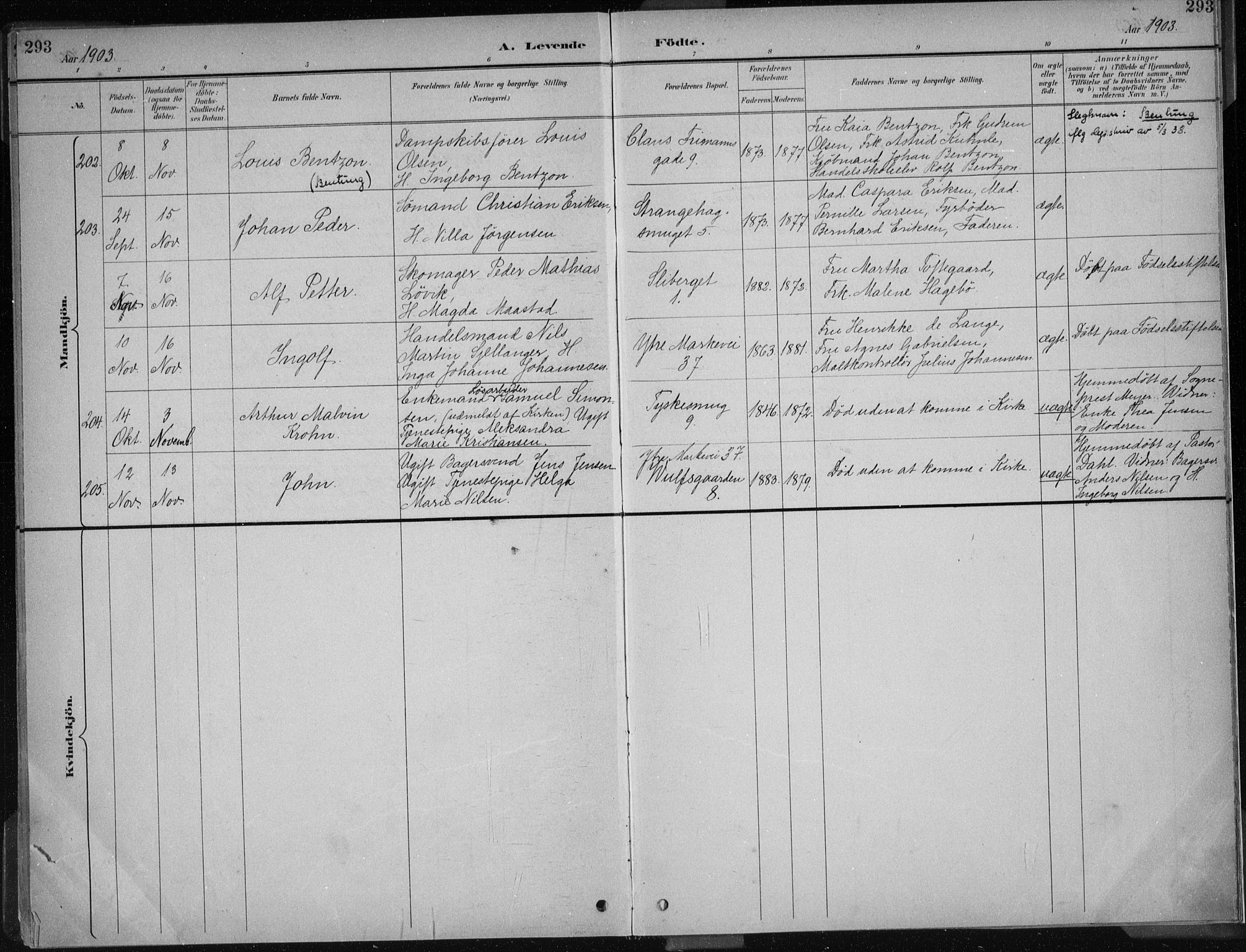 Nykirken Sokneprestembete, AV/SAB-A-77101/H/Haa/L0018: Parish register (official) no. B 6, 1895-1903, p. 293