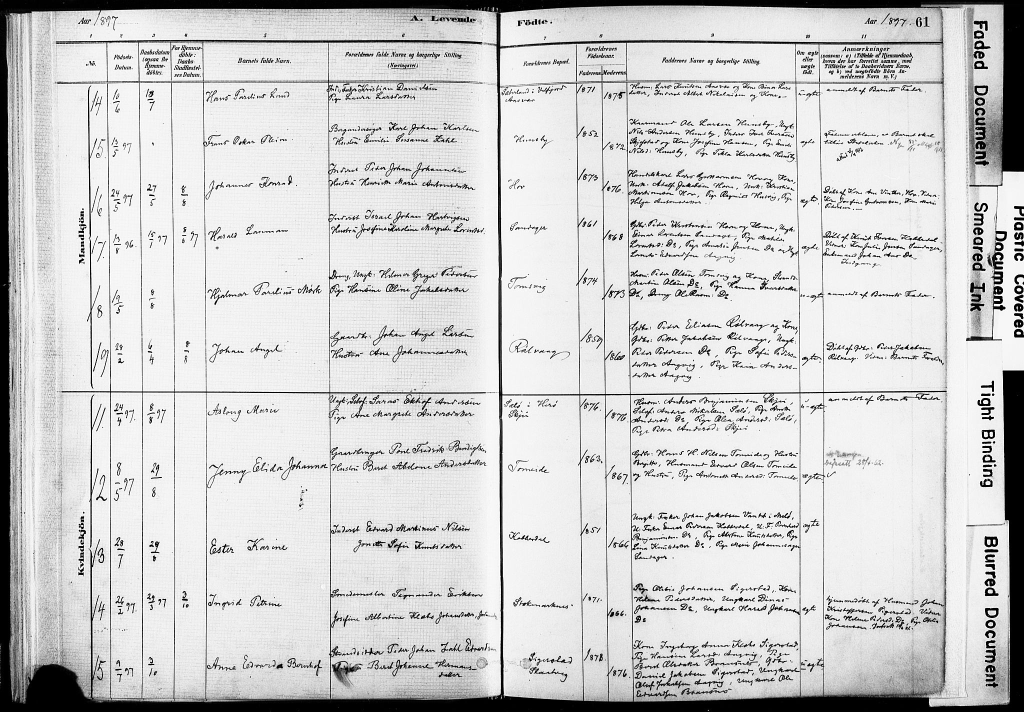 Ministerialprotokoller, klokkerbøker og fødselsregistre - Nordland, SAT/A-1459/835/L0525: Parish register (official) no. 835A03I, 1881-1910, p. 61