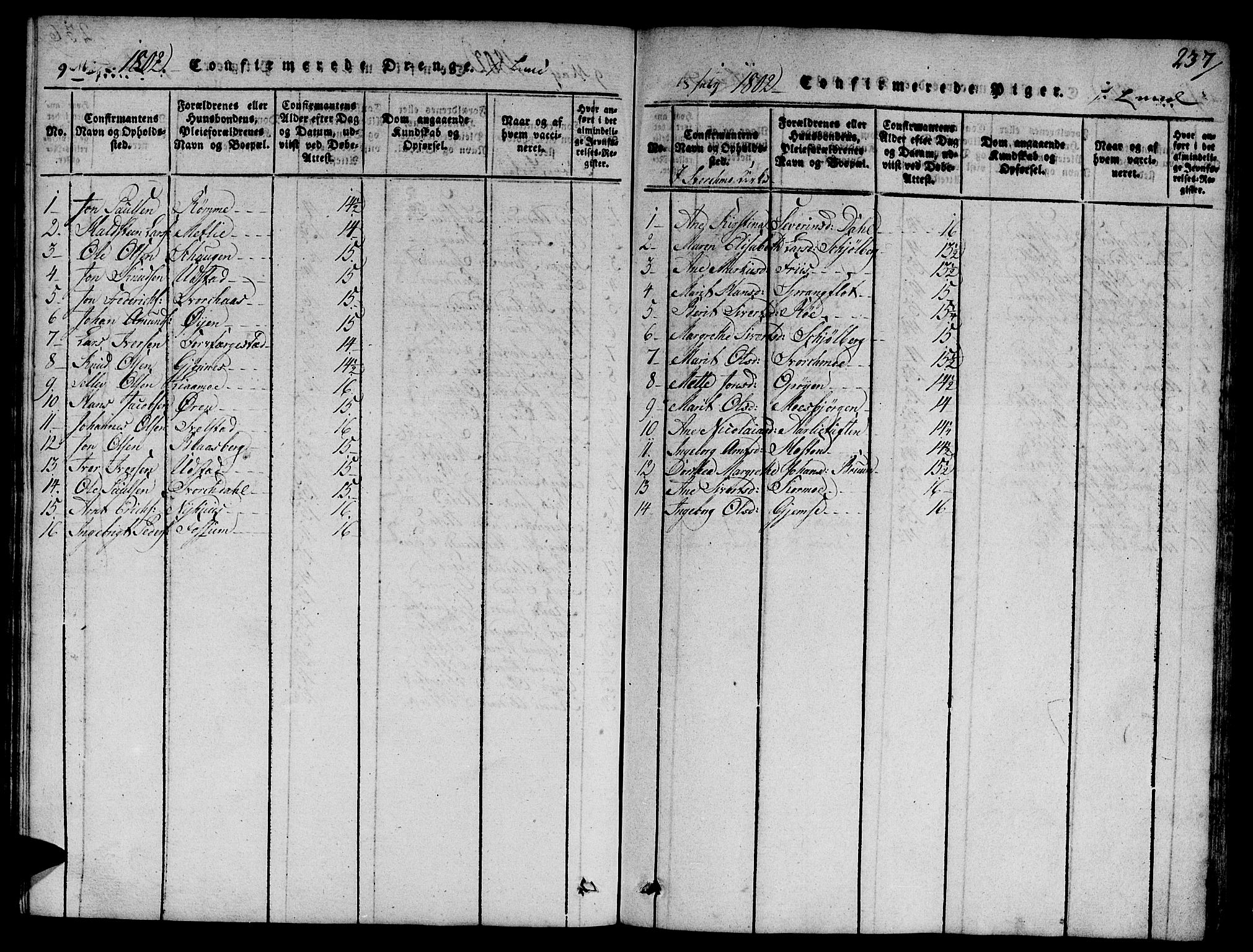 Ministerialprotokoller, klokkerbøker og fødselsregistre - Sør-Trøndelag, AV/SAT-A-1456/668/L0803: Parish register (official) no. 668A03, 1800-1826, p. 237