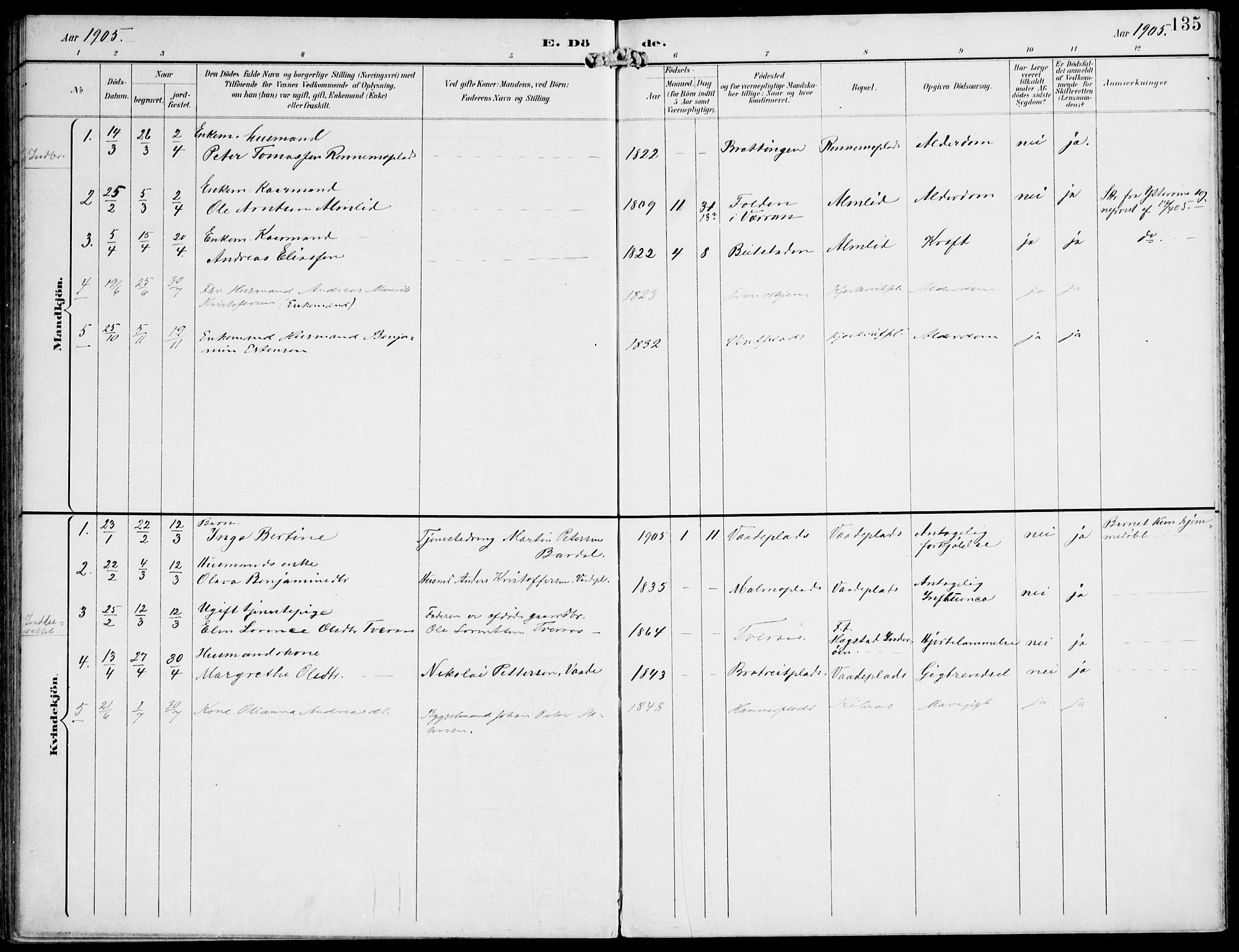 Ministerialprotokoller, klokkerbøker og fødselsregistre - Nord-Trøndelag, SAT/A-1458/745/L0430: Parish register (official) no. 745A02, 1895-1913, p. 135