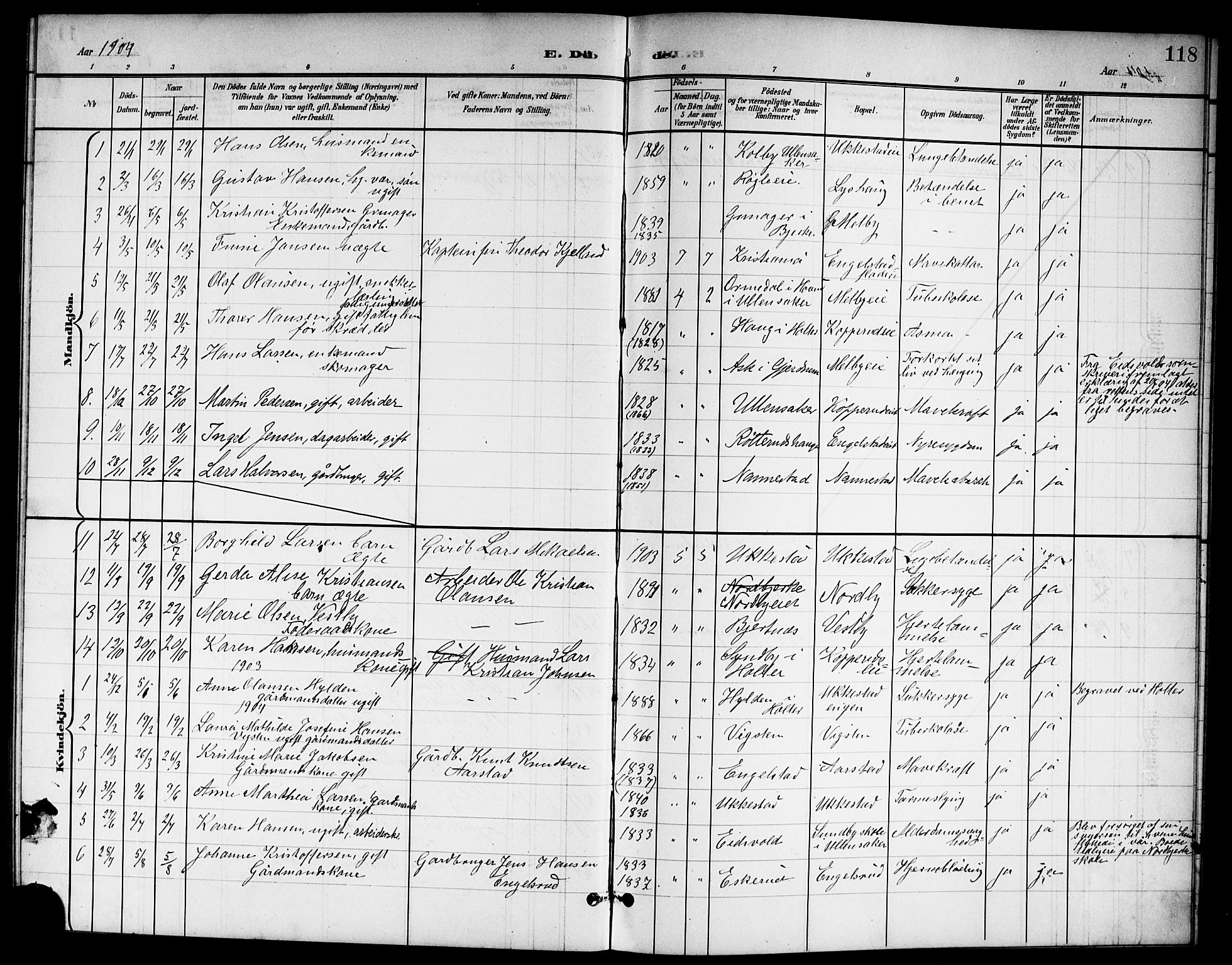 Nannestad prestekontor Kirkebøker, SAO/A-10414a/G/Ga/L0002: Parish register (copy) no. I 2, 1901-1913, p. 118