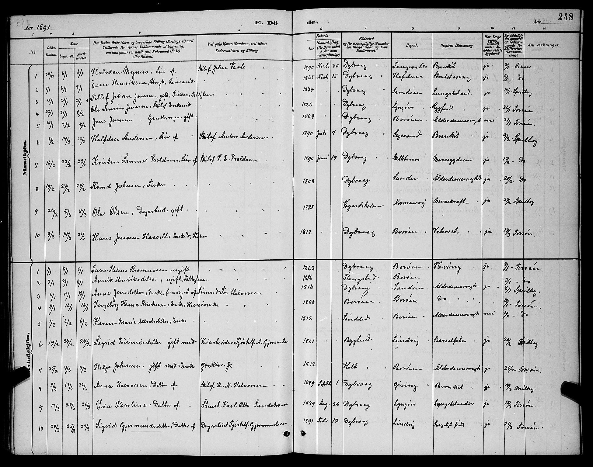 Dypvåg sokneprestkontor, SAK/1111-0007/F/Fb/Fba/L0013: Parish register (copy) no. B 13, 1887-1900, p. 248