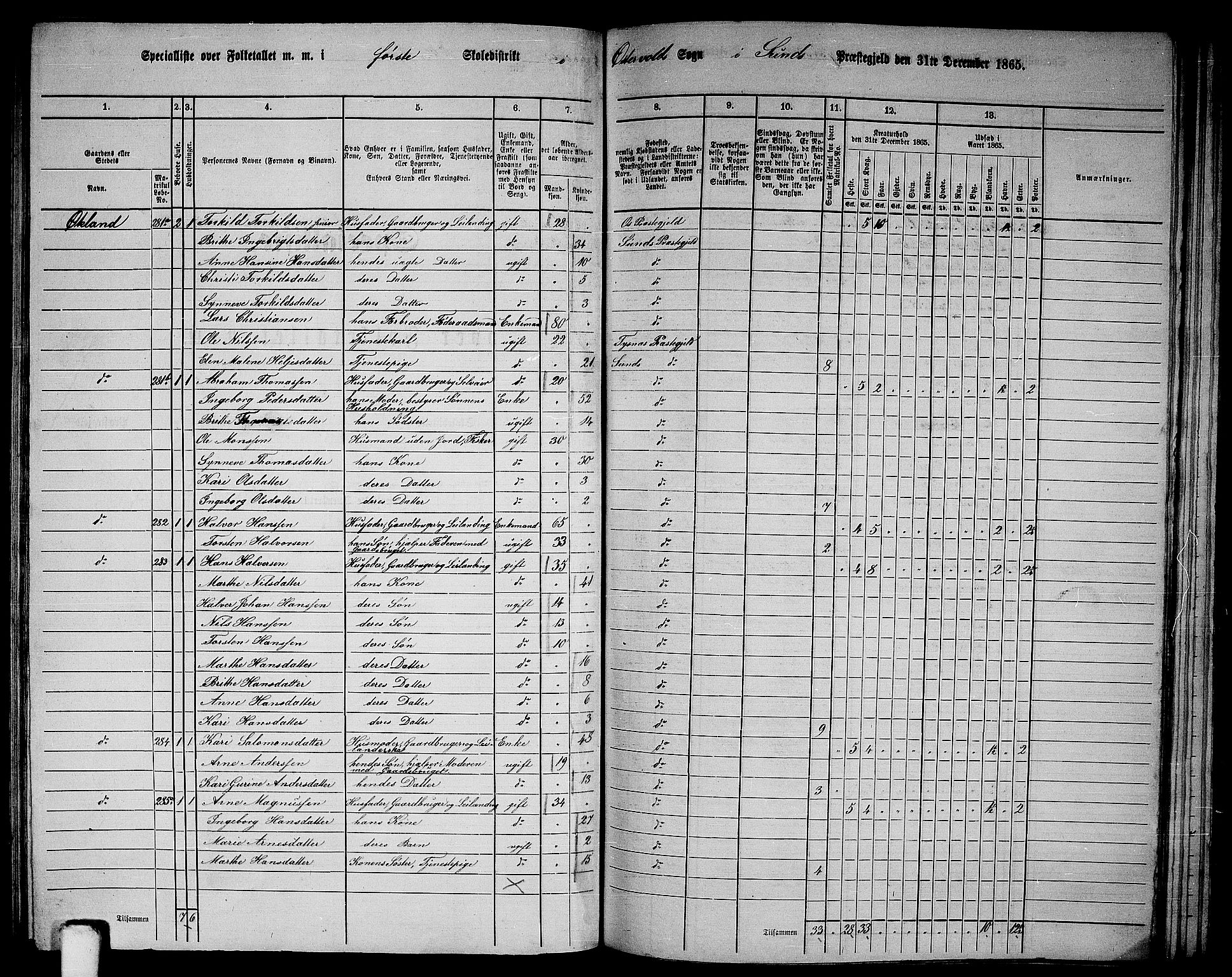 RA, 1865 census for Sund, 1865, p. 96