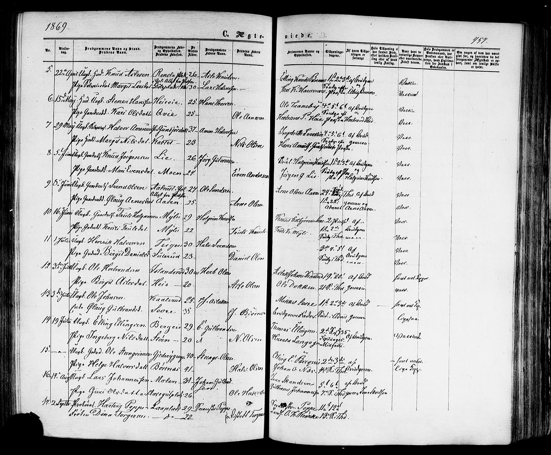 Nes kirkebøker, AV/SAKO-A-236/F/Fa/L0010: Parish register (official) no. 10, 1864-1880, p. 457