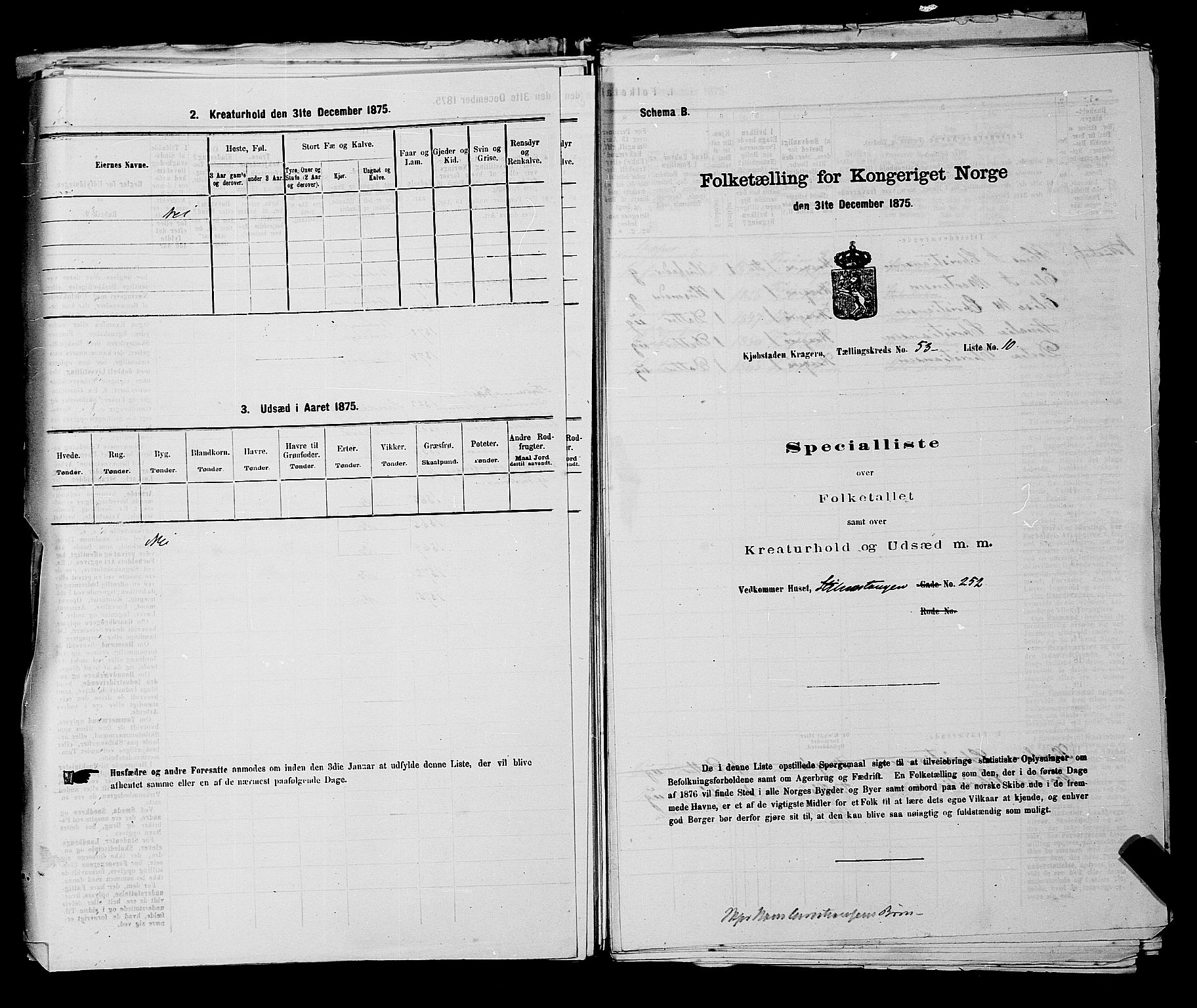 SAKO, 1875 census for 0801P Kragerø, 1875, p. 1183