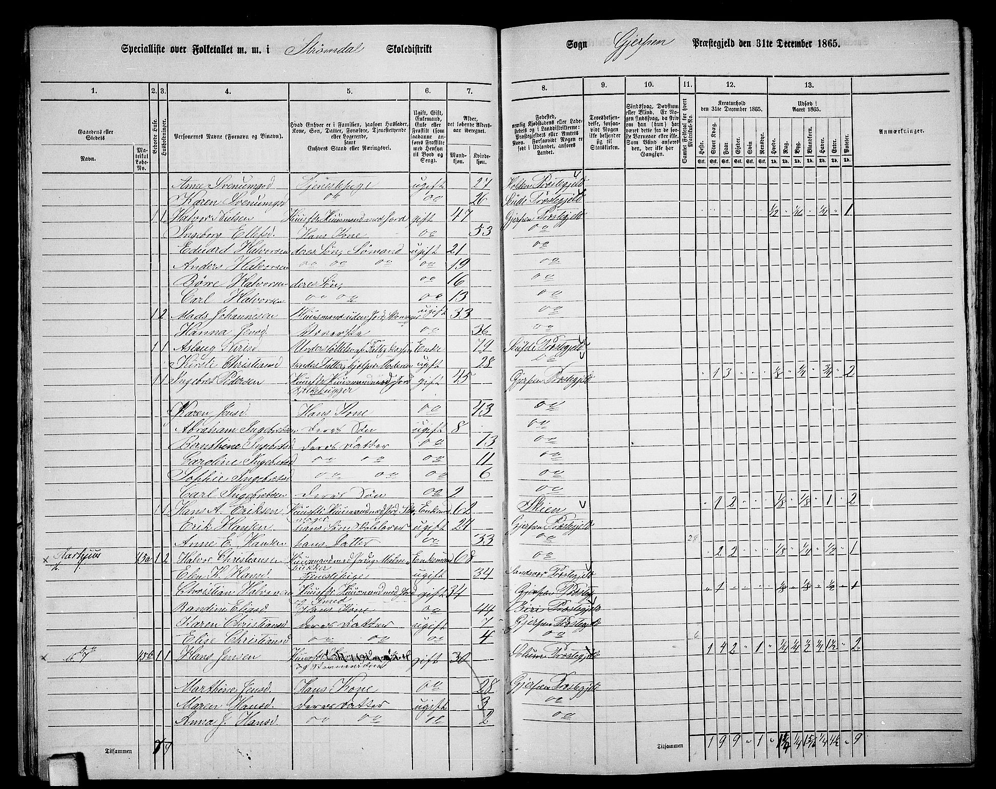 RA, 1865 census for Gjerpen, 1865, p. 31