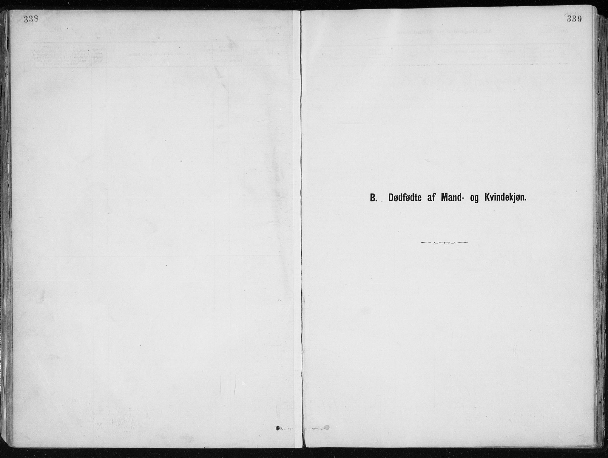 Dypvåg sokneprestkontor, SAK/1111-0007/F/Fa/Faa/L0008: Parish register (official) no. A 8, 1885-1906, p. 338-339