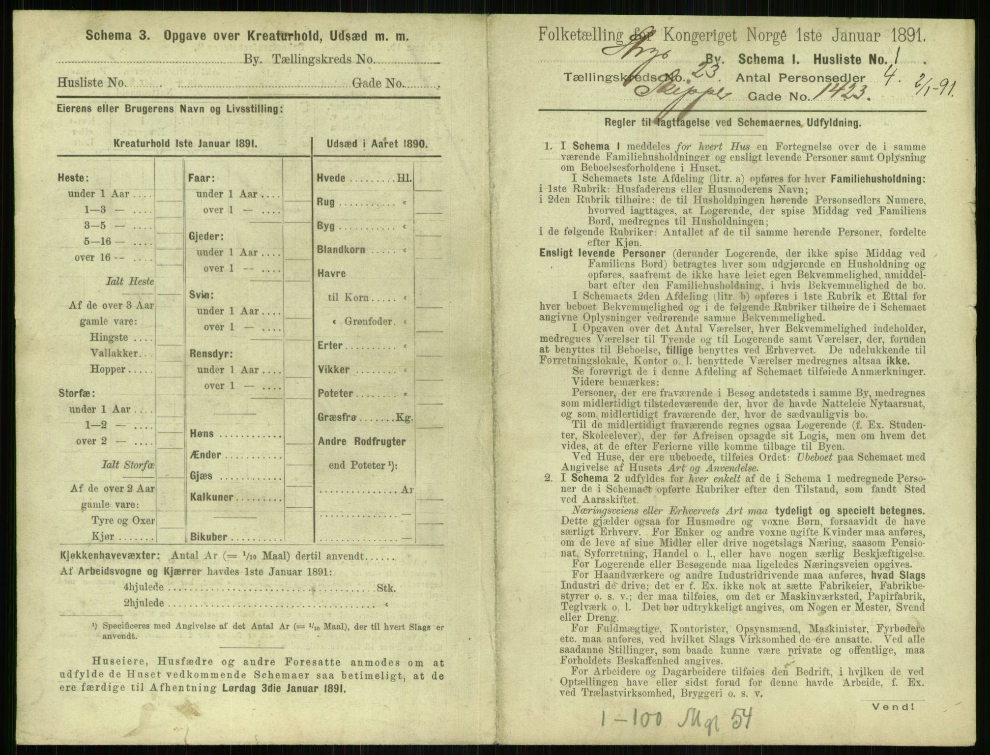 RA, 1891 census for 1103 Stavanger, 1891, p. 4373