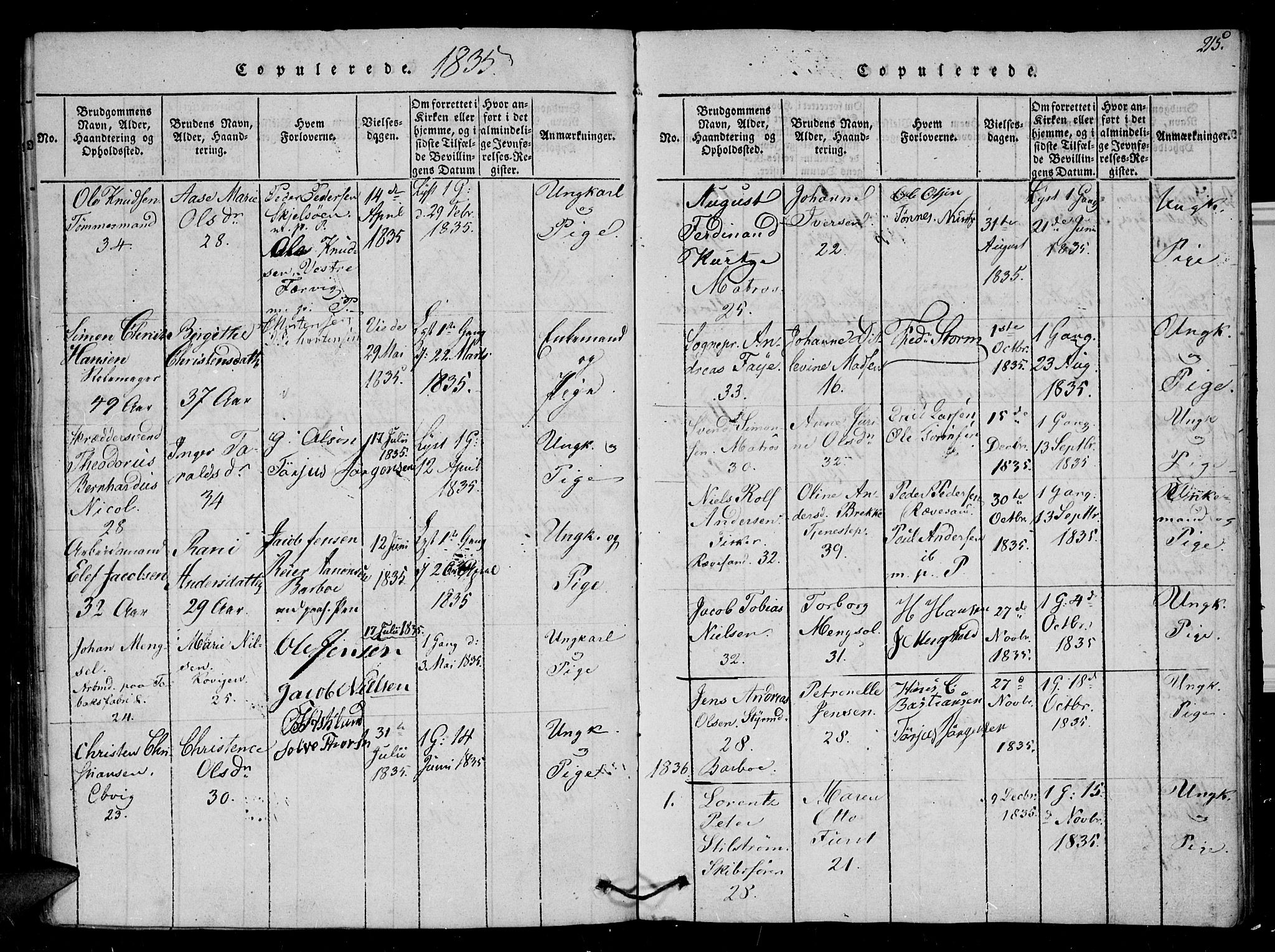 Arendal sokneprestkontor, Trefoldighet, SAK/1111-0040/F/Fb/L0001: Parish register (copy) no. B 1, 1816-1838, p. 215