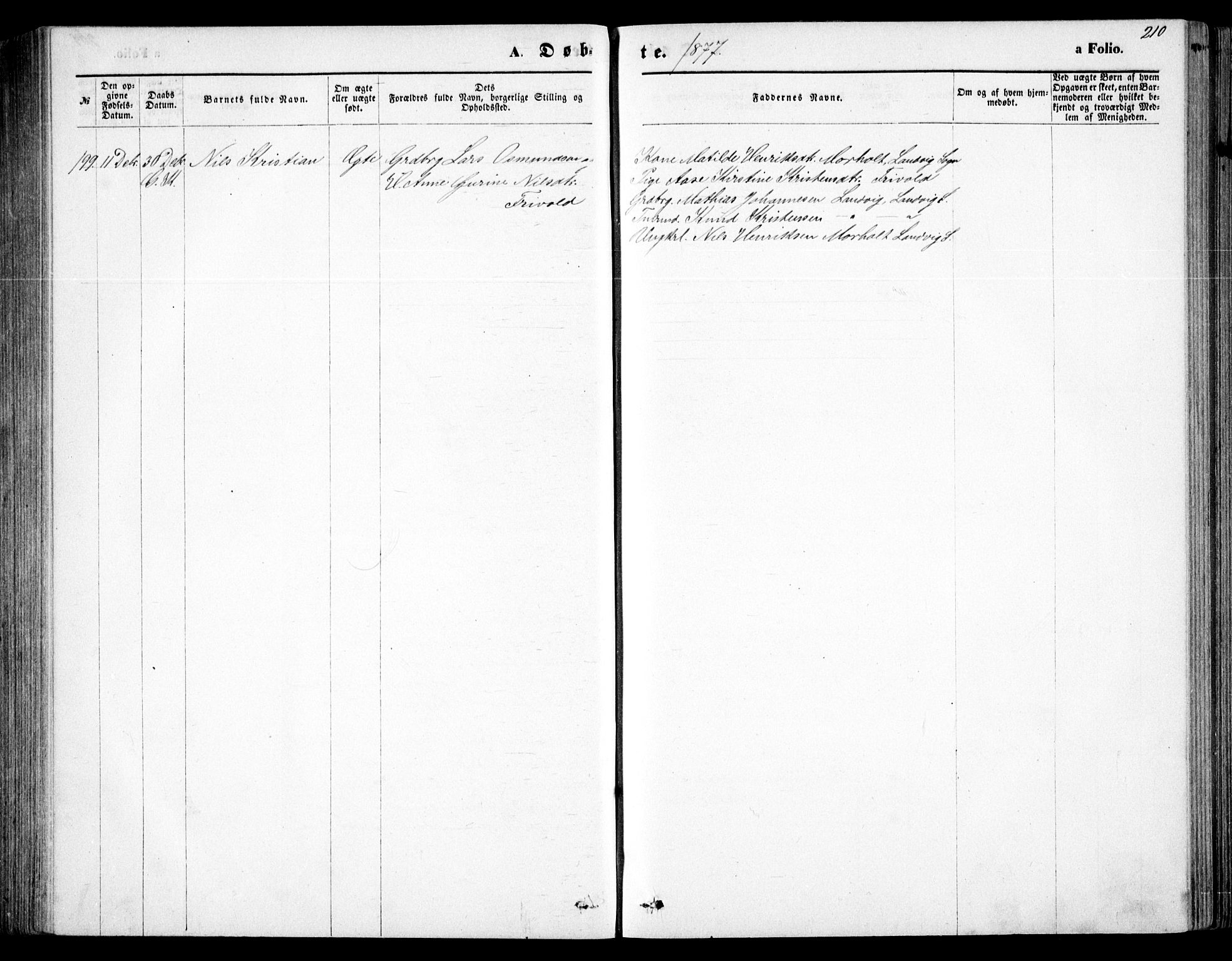 Fjære sokneprestkontor, AV/SAK-1111-0011/F/Fb/L0010: Parish register (copy) no. B 10, 1871-1880, p. 210