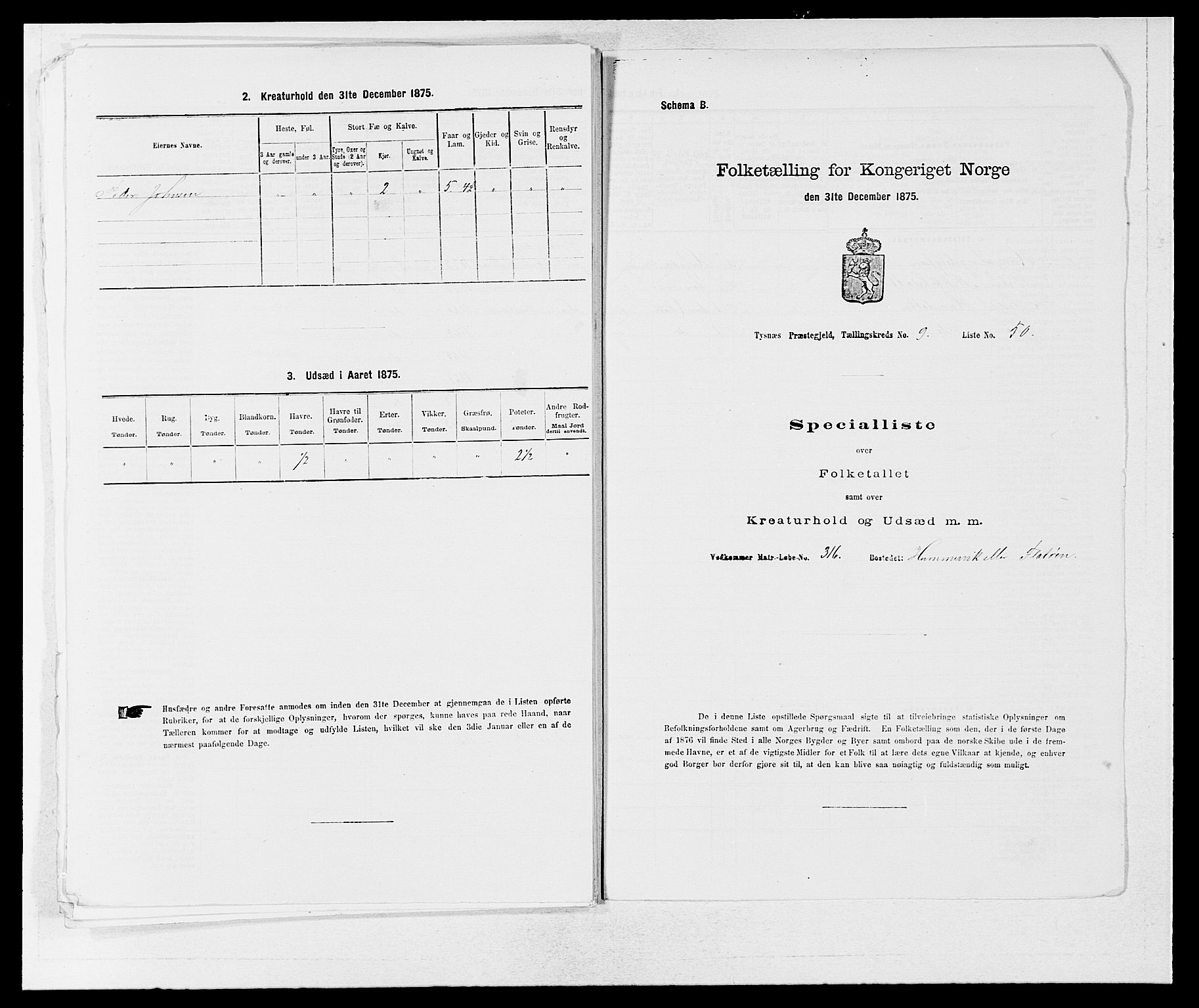 SAB, 1875 census for 1223P Tysnes, 1875, p. 1123