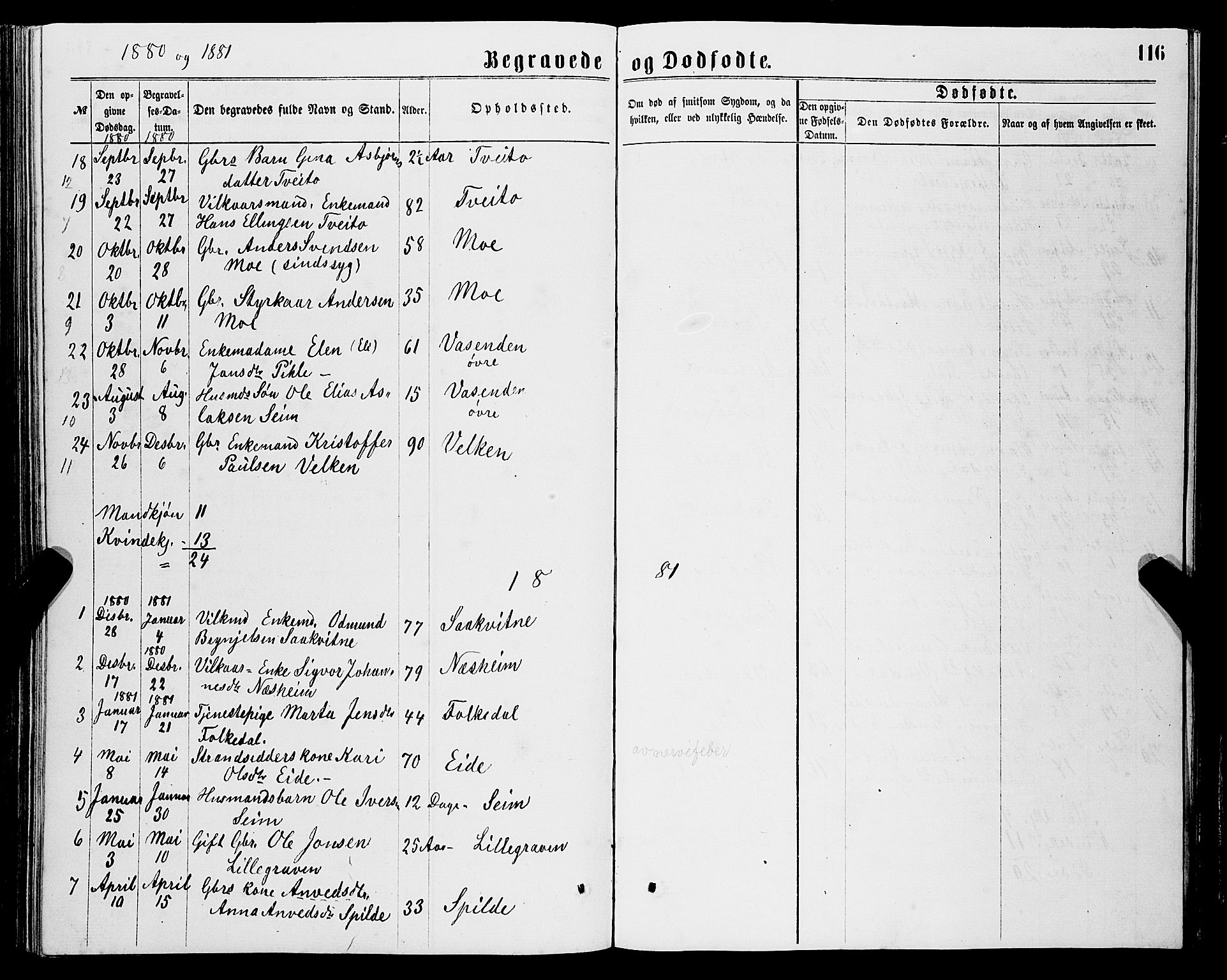 Ulvik sokneprestembete, SAB/A-78801/H/Hab: Parish register (copy) no. B 2, 1869-1883, p. 116