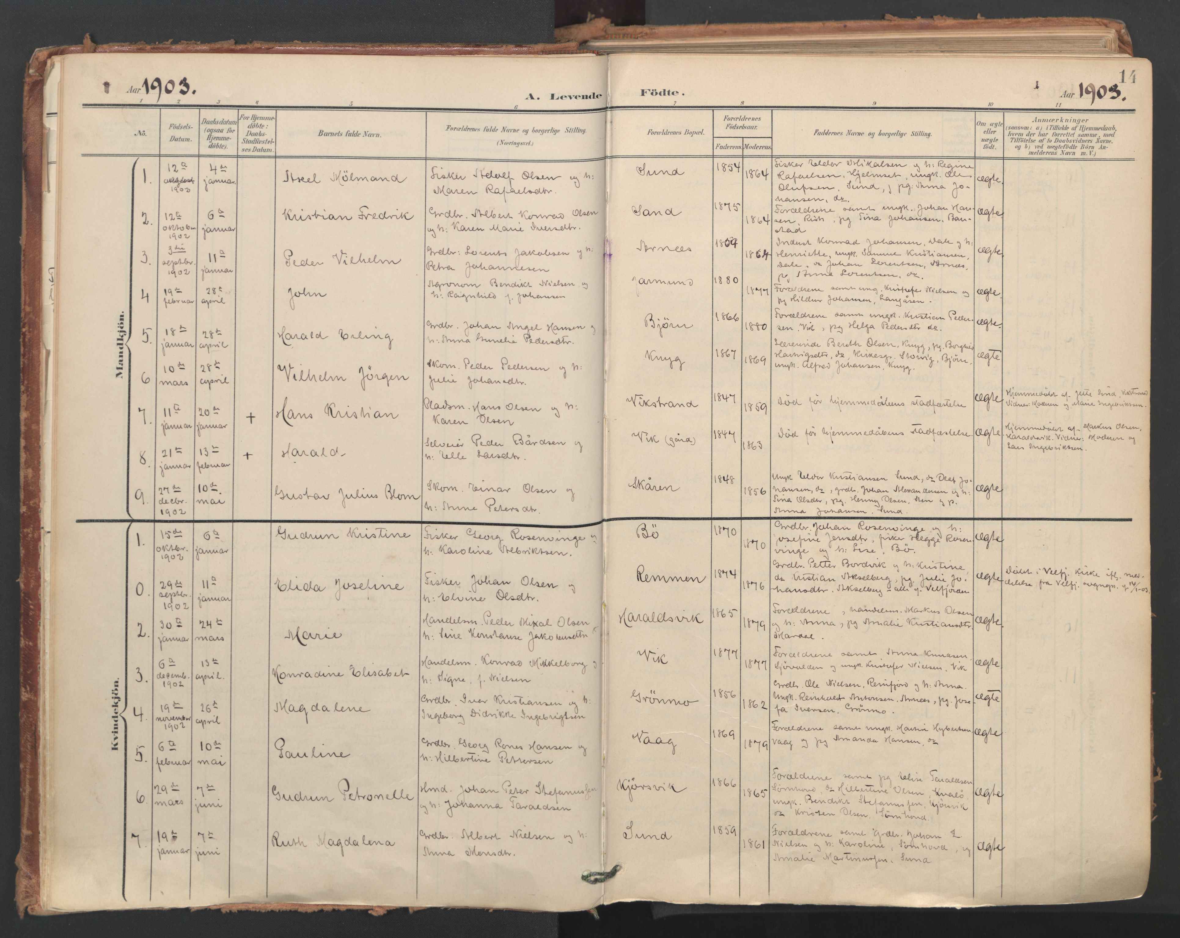 Ministerialprotokoller, klokkerbøker og fødselsregistre - Nordland, SAT/A-1459/812/L0180: Parish register (official) no. 812A09, 1901-1915, p. 14