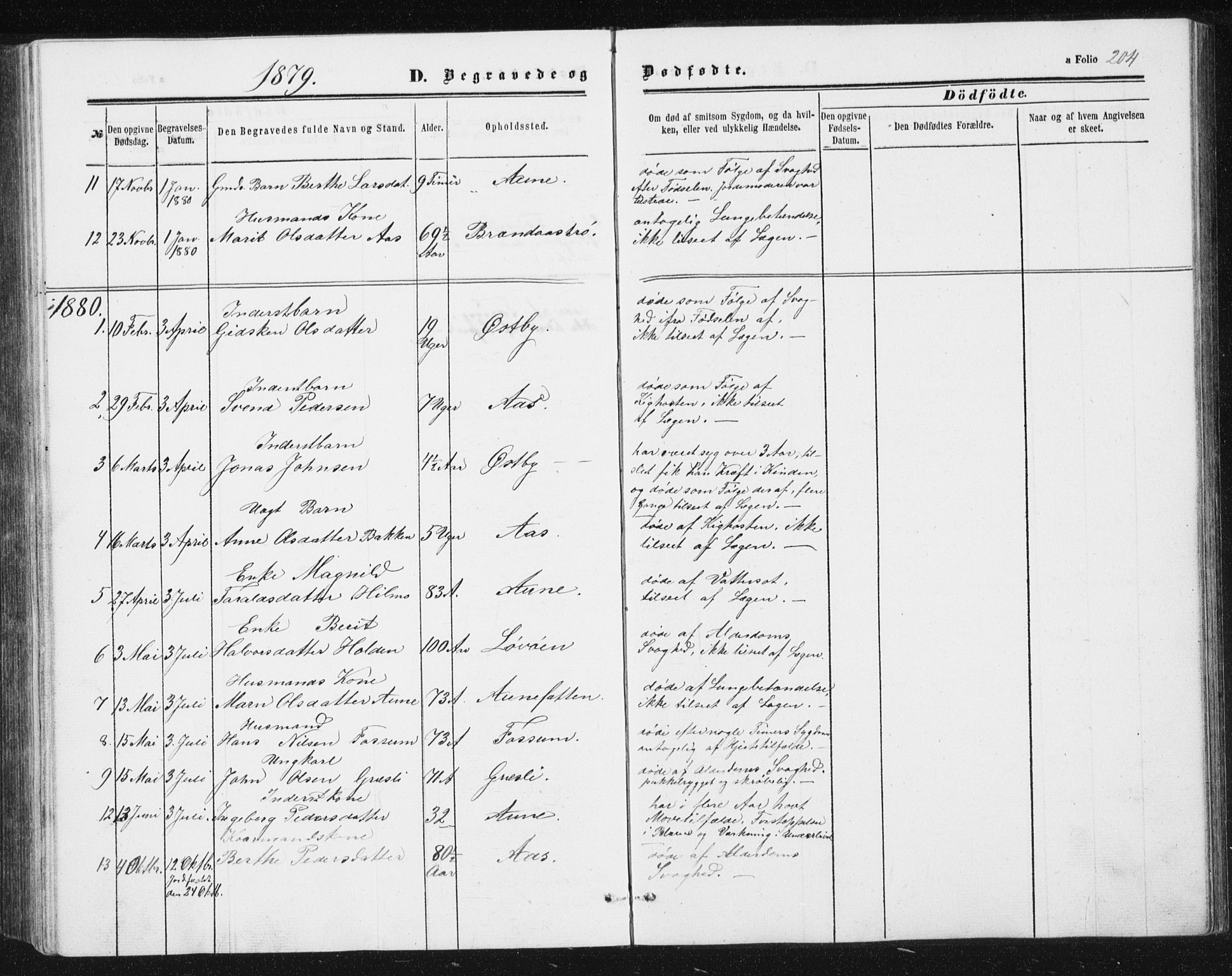 Ministerialprotokoller, klokkerbøker og fødselsregistre - Sør-Trøndelag, SAT/A-1456/698/L1166: Parish register (copy) no. 698C03, 1861-1887, p. 204