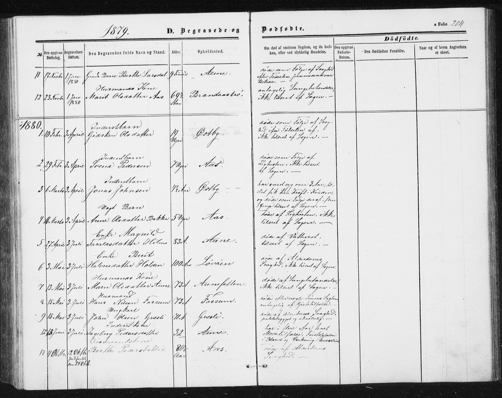 Ministerialprotokoller, klokkerbøker og fødselsregistre - Sør-Trøndelag, AV/SAT-A-1456/698/L1166: Parish register (copy) no. 698C03, 1861-1887, p. 204