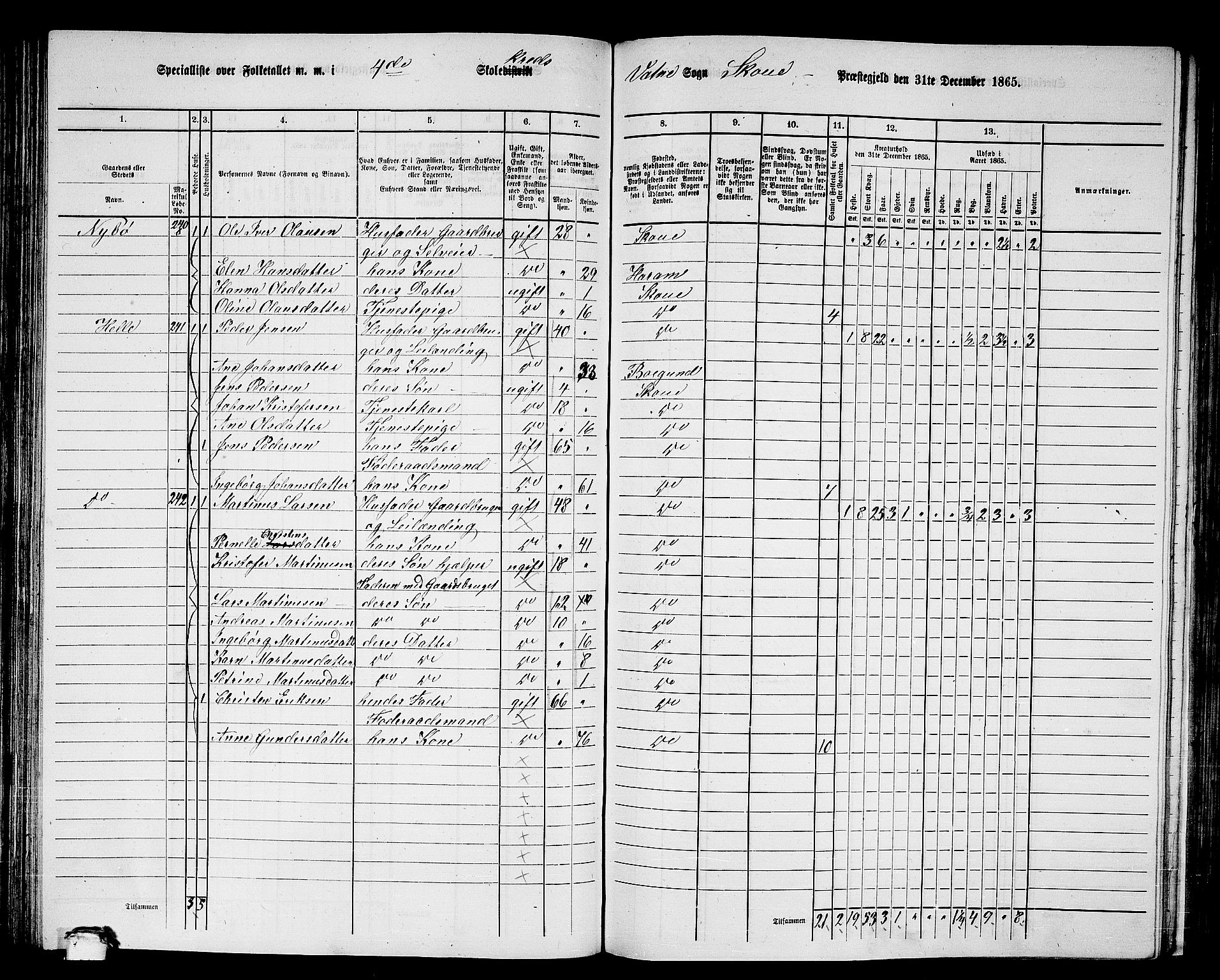 RA, 1865 census for Skodje, 1865, p. 87