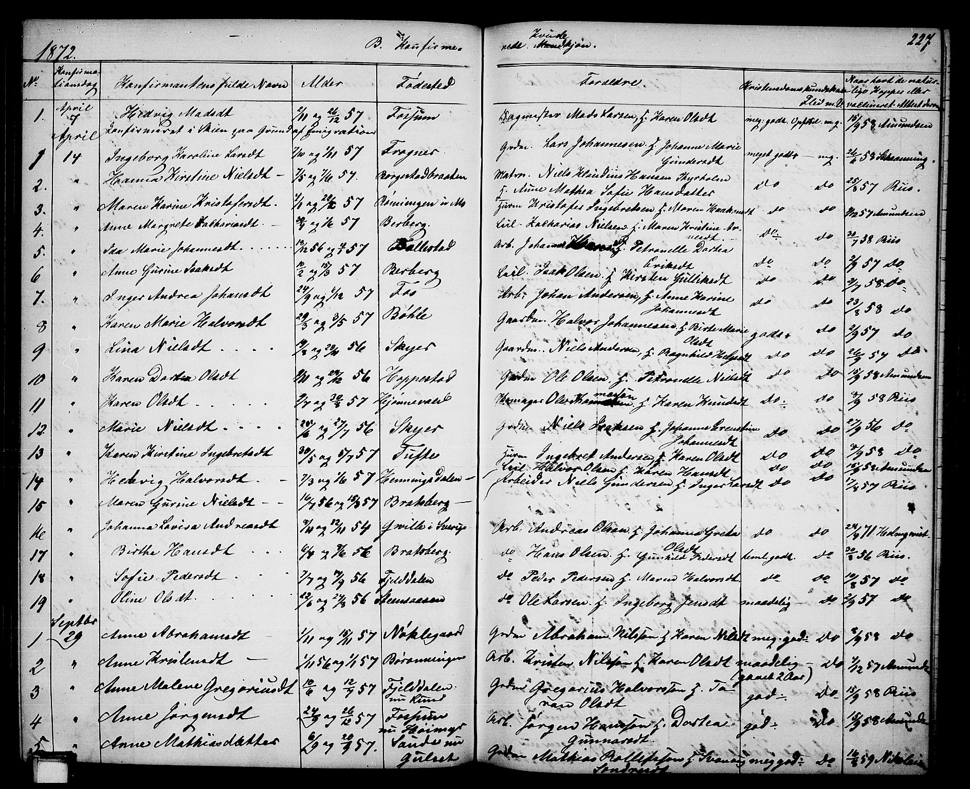 Gjerpen kirkebøker, SAKO/A-265/G/Ga/L0001: Parish register (copy) no. I 1, 1864-1882, p. 227