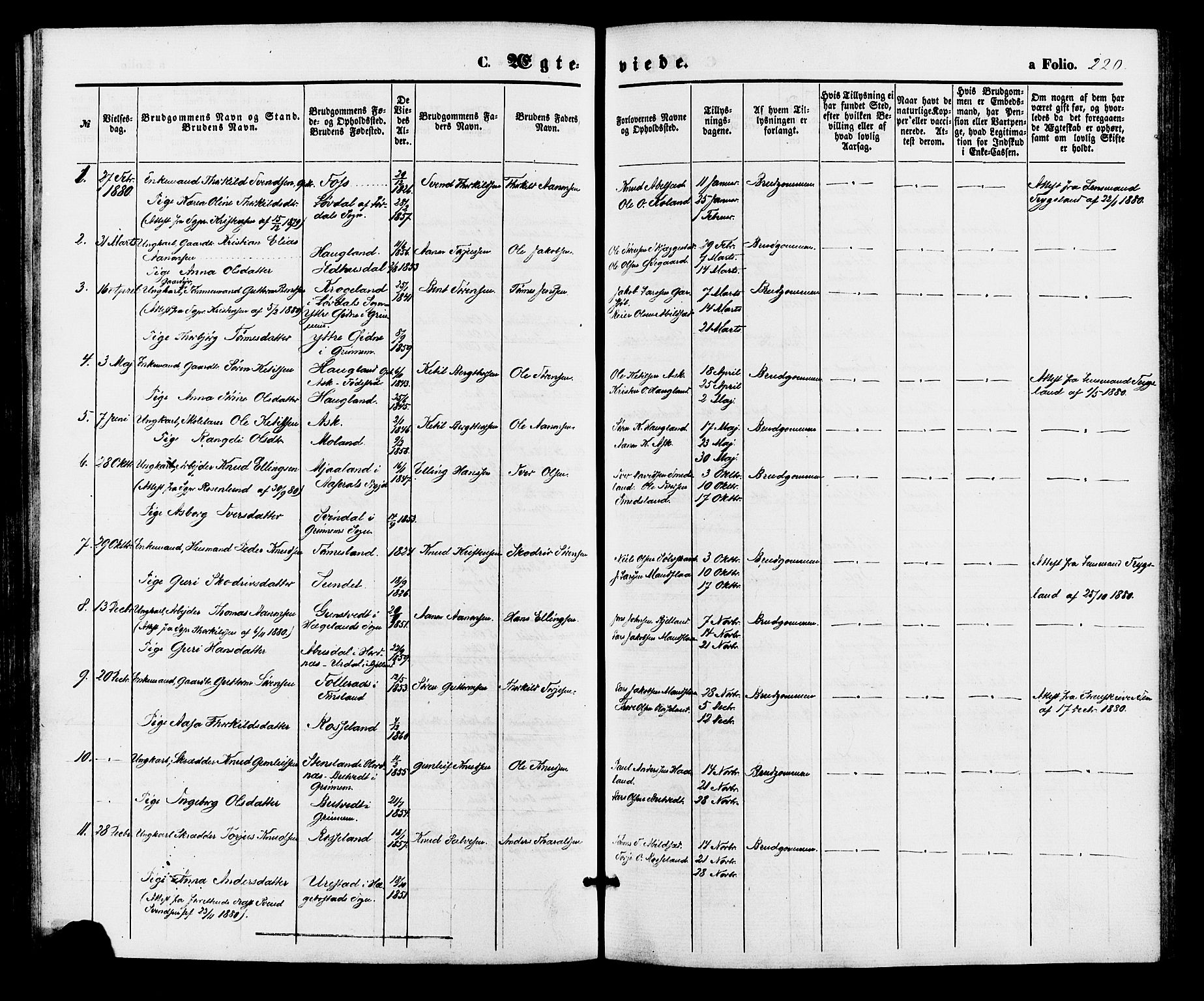 Bjelland sokneprestkontor, AV/SAK-1111-0005/F/Fa/Faa/L0003: Parish register (official) no. A 3, 1867-1887, p. 220