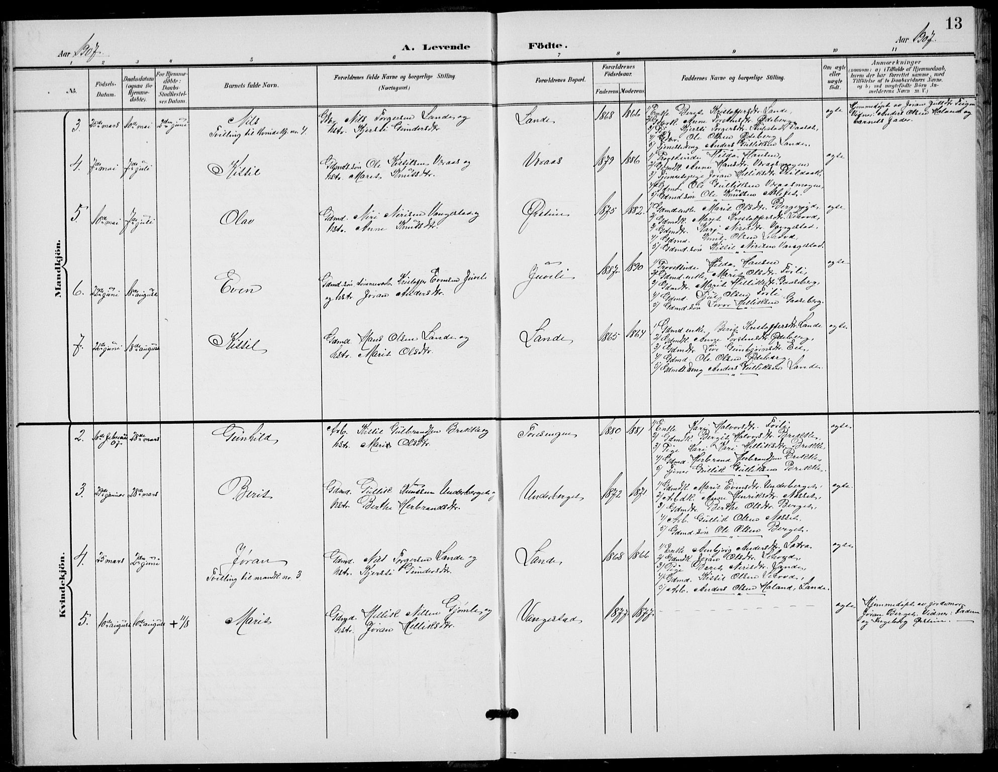 Flesberg kirkebøker, AV/SAKO-A-18/G/Ga/L0005: Parish register (copy) no. I 5, 1899-1908, p. 13