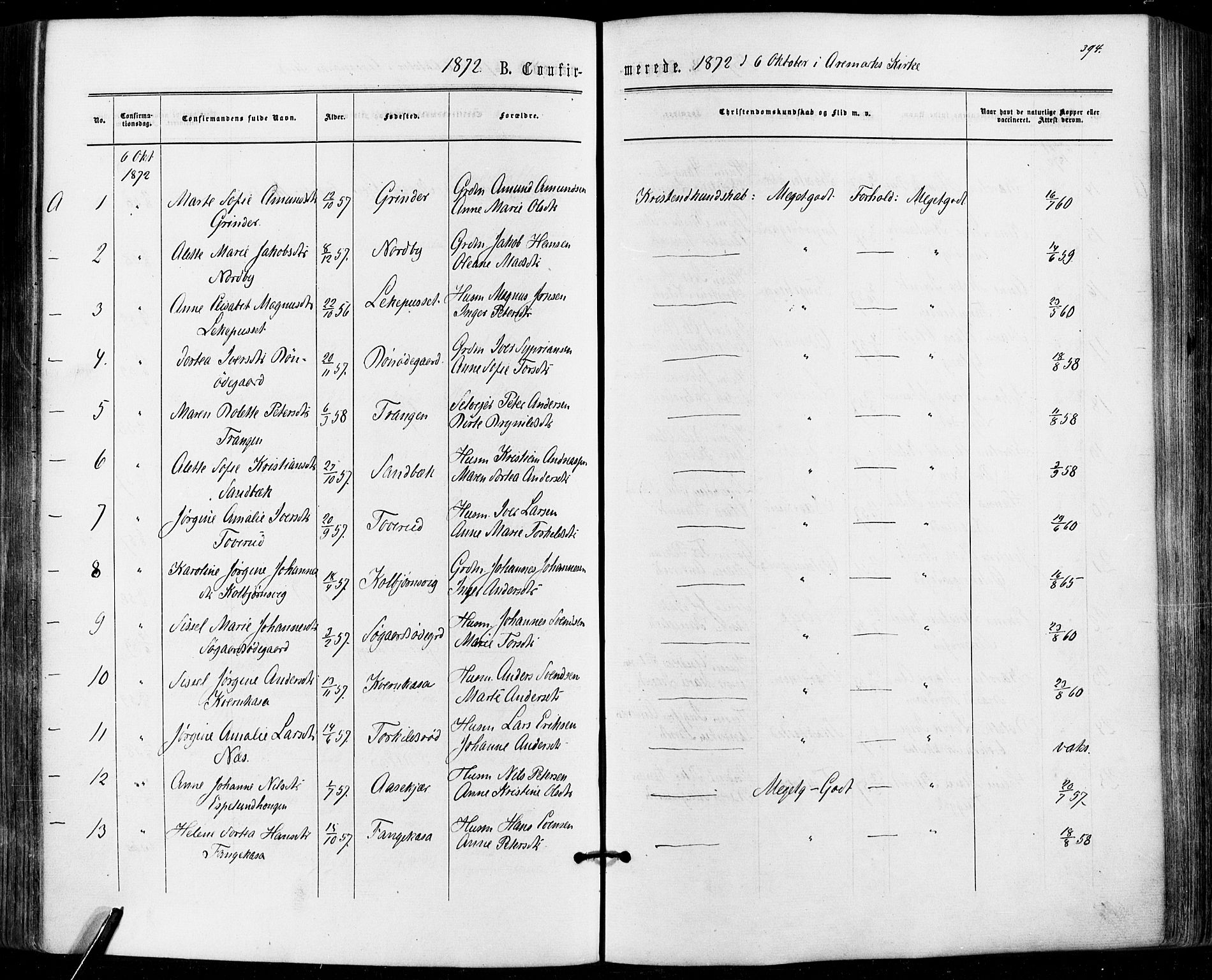 Aremark prestekontor Kirkebøker, AV/SAO-A-10899/F/Fc/L0004: Parish register (official) no. III 4, 1866-1877, p. 393-394