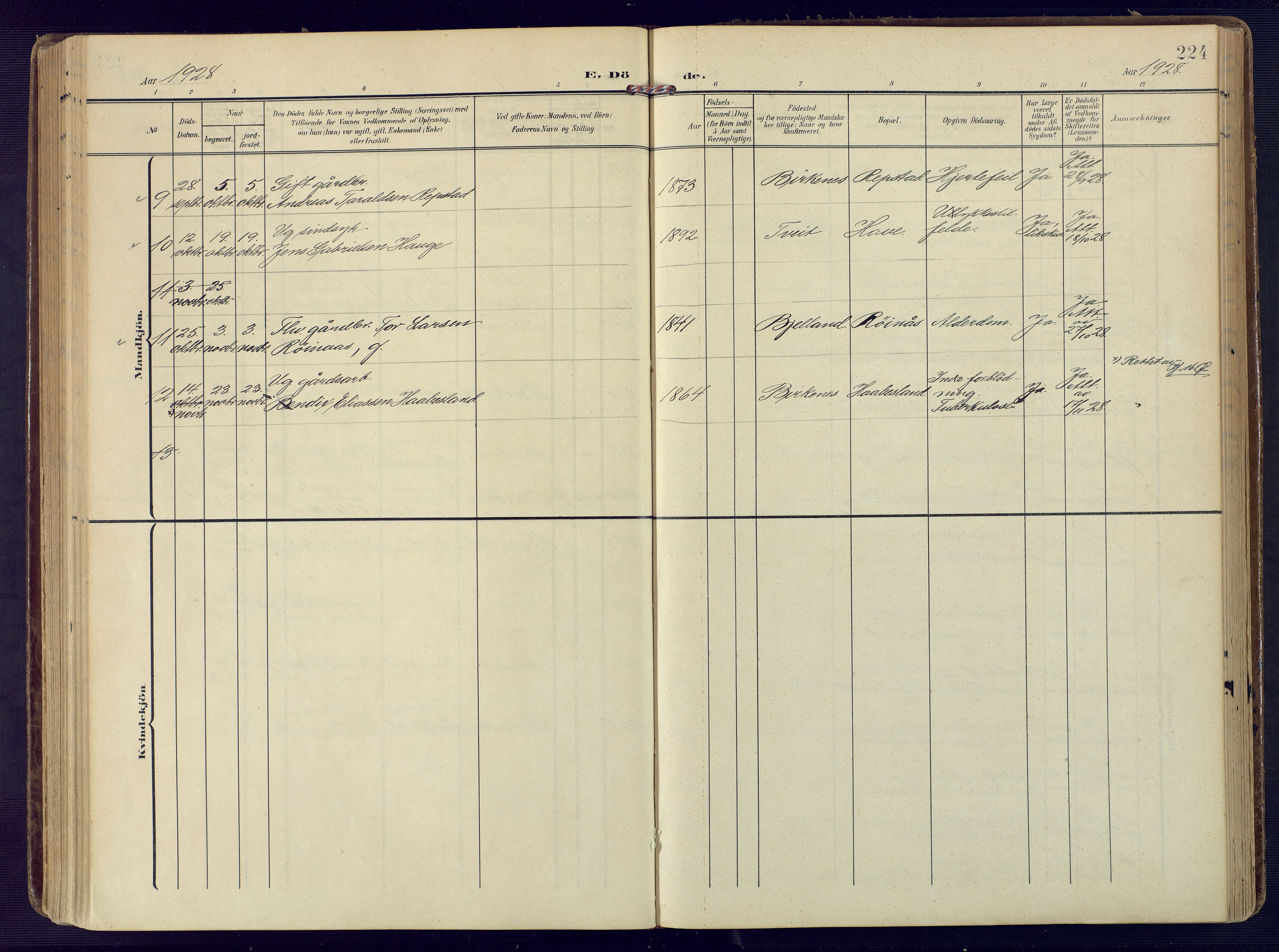 Birkenes sokneprestkontor, SAK/1111-0004/F/Fa/L0006: Parish register (official) no. A 6, 1908-1932, p. 224