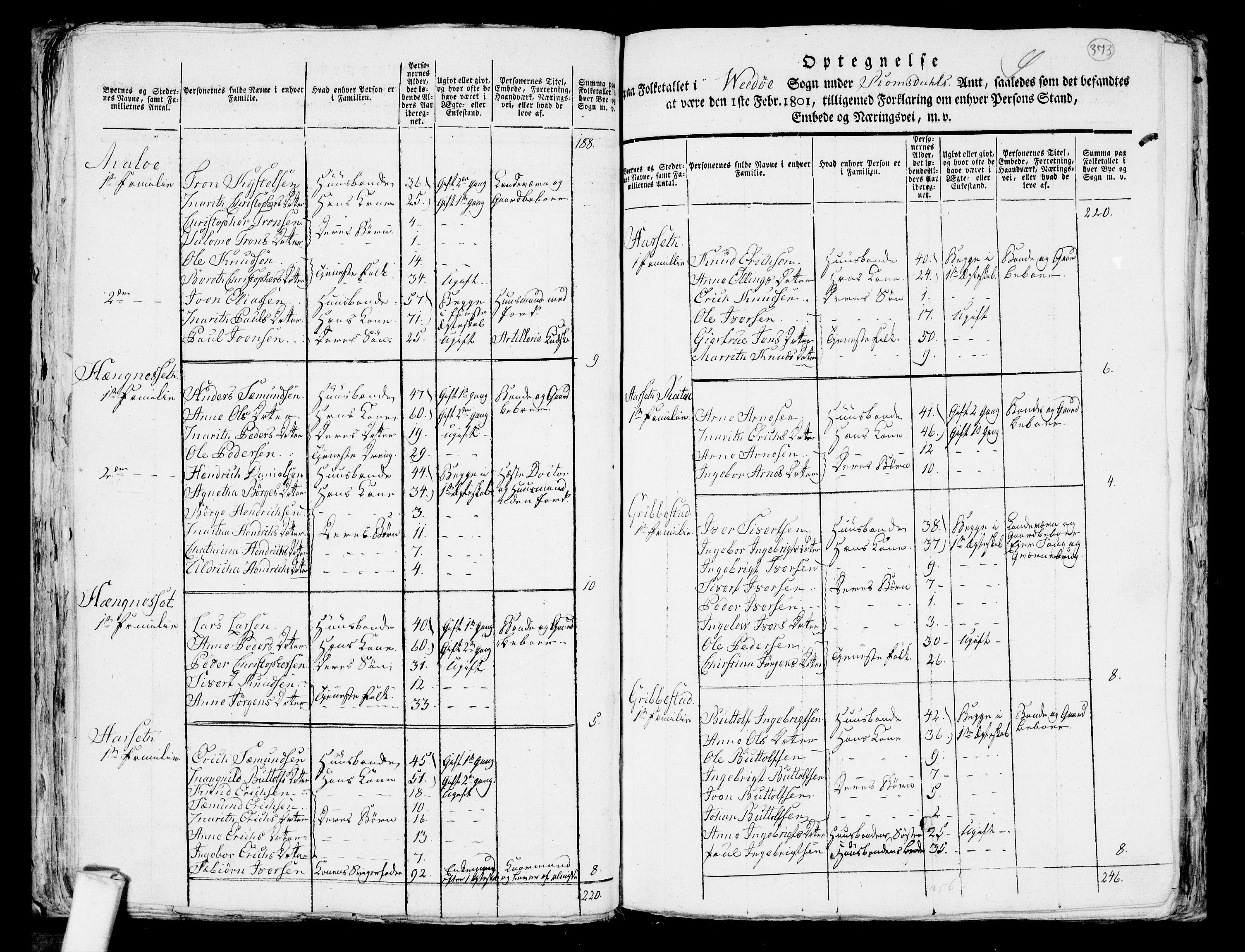 RA, 1801 census for 1541P Veøy, 1801, p. 372b-373a