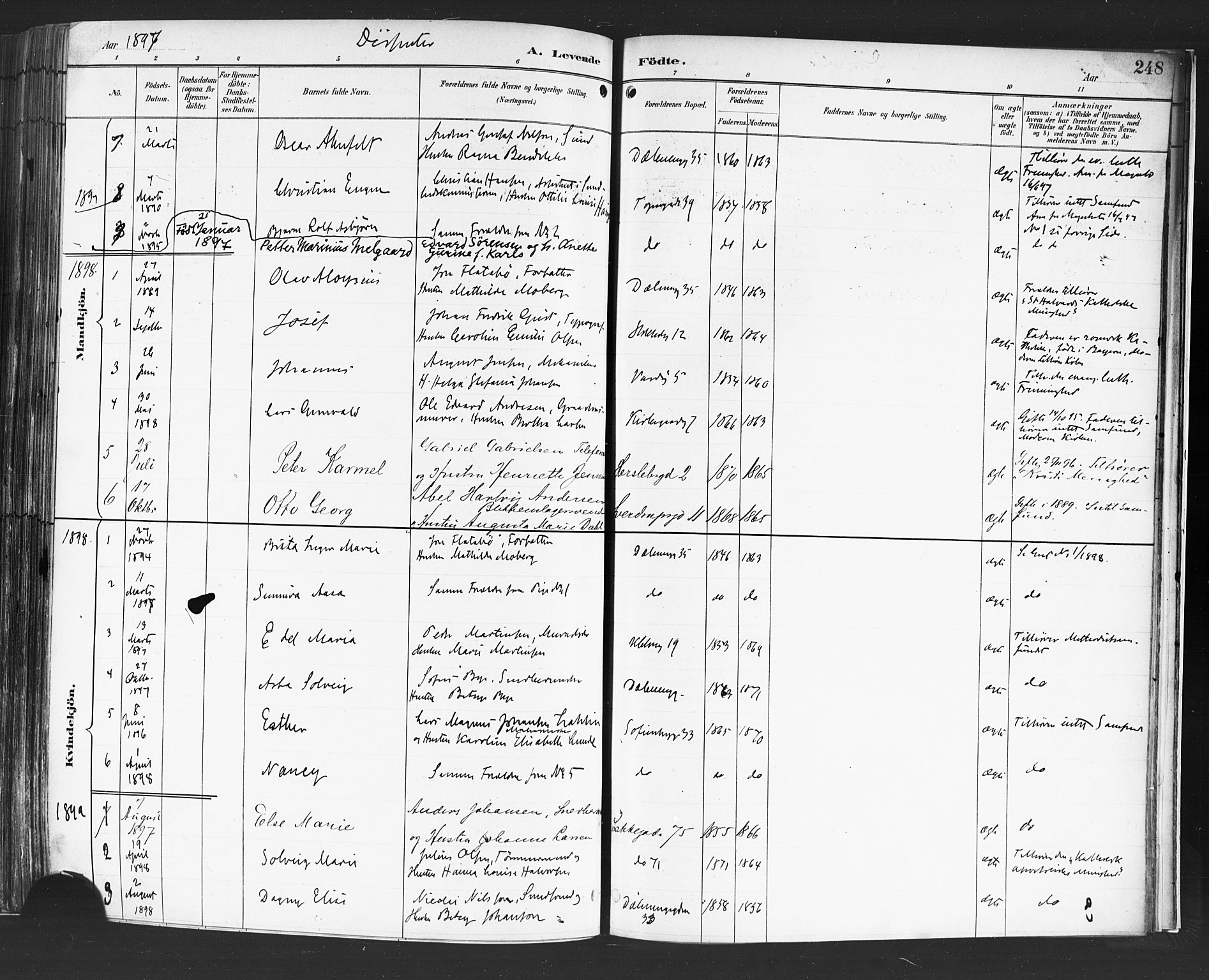 Petrus prestekontor Kirkebøker, AV/SAO-A-10872/F/Fa/L0004: Parish register (official) no. I 4, 1888-1898, p. 248