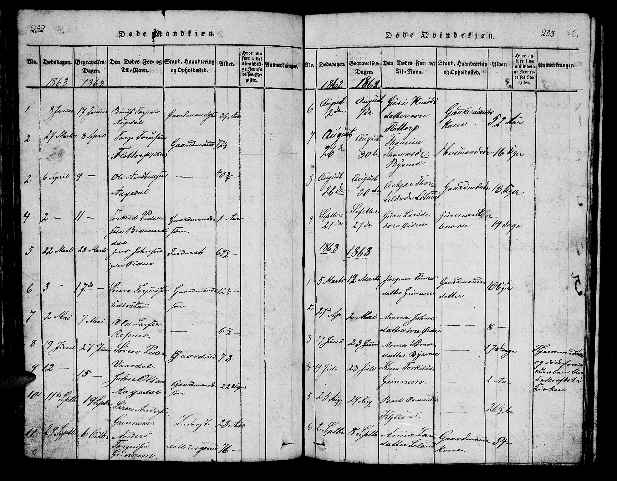Bjelland sokneprestkontor, SAK/1111-0005/F/Fb/Fbc/L0001: Parish register (copy) no. B 1, 1815-1870, p. 252-253