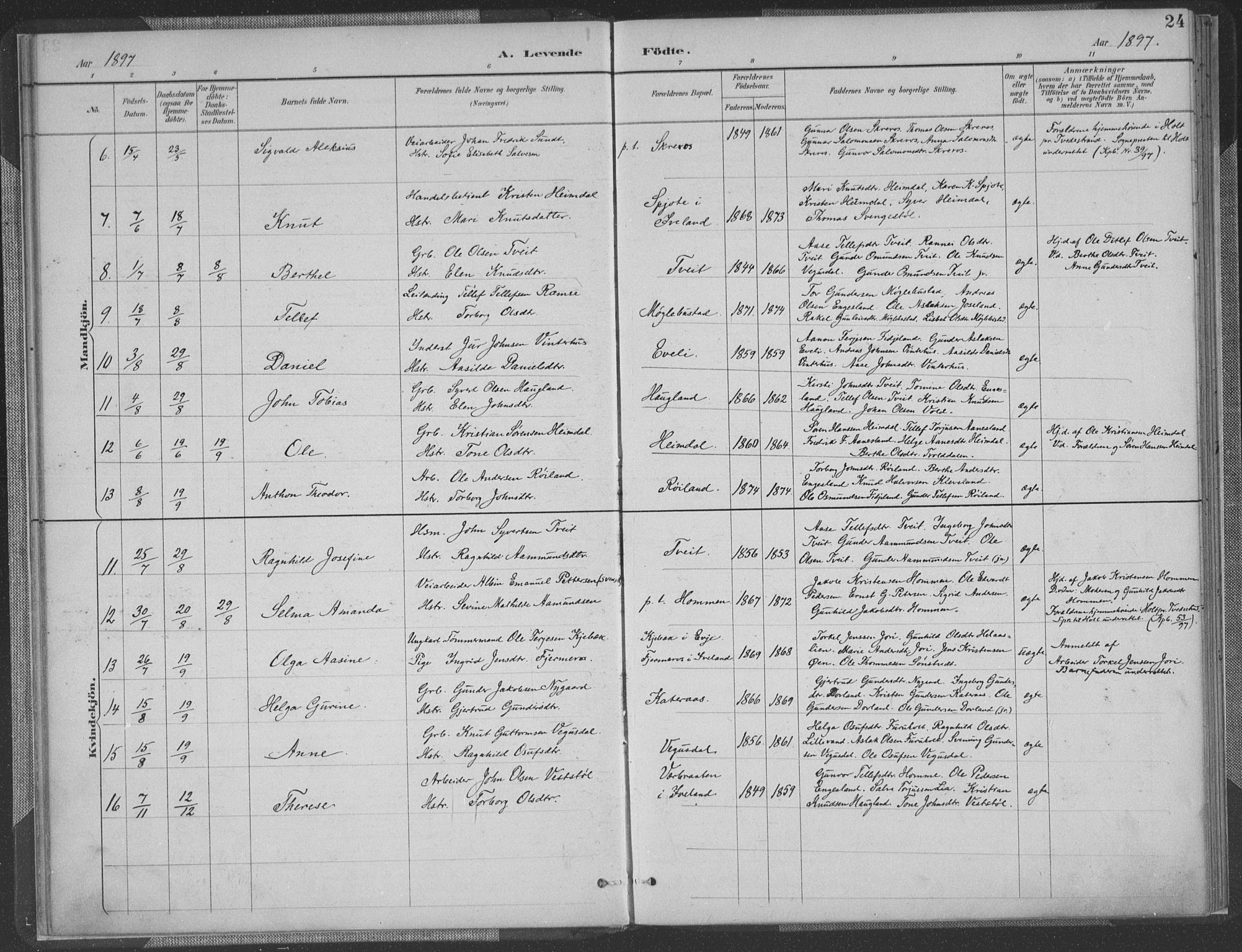 Herefoss sokneprestkontor, AV/SAK-1111-0019/F/Fa/Fab/L0004: Parish register (official) no. A 4, 1887-1909, p. 24