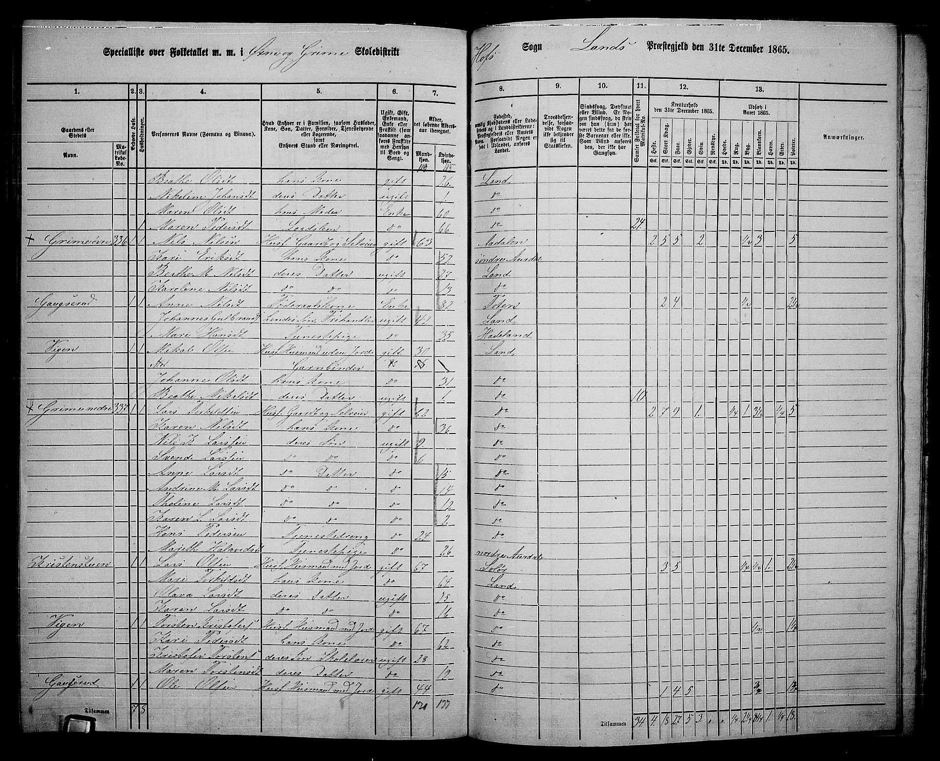 RA, 1865 census for Land, 1865, p. 382