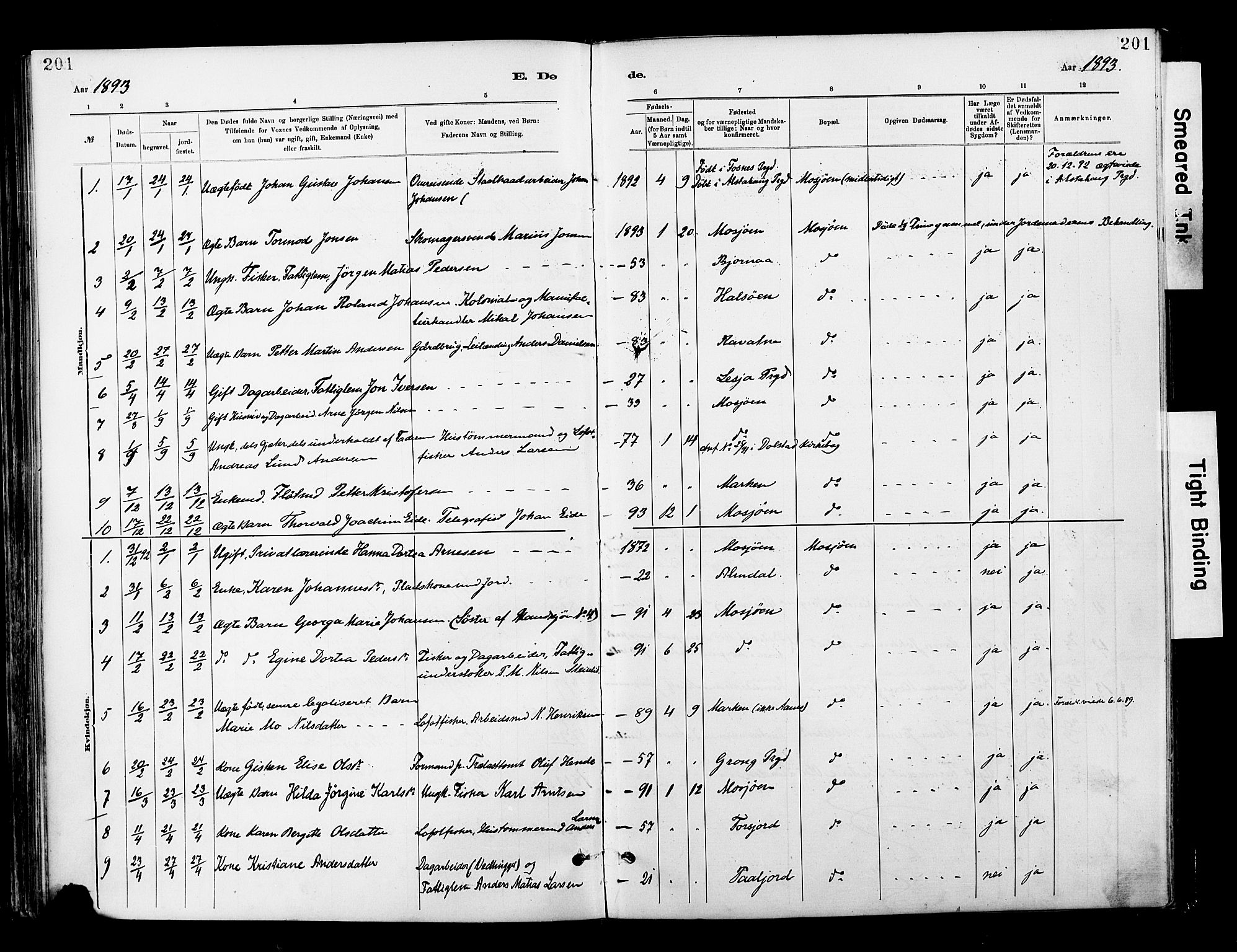 Ministerialprotokoller, klokkerbøker og fødselsregistre - Nordland, AV/SAT-A-1459/820/L0296: Parish register (official) no. 820A17, 1880-1903, p. 201