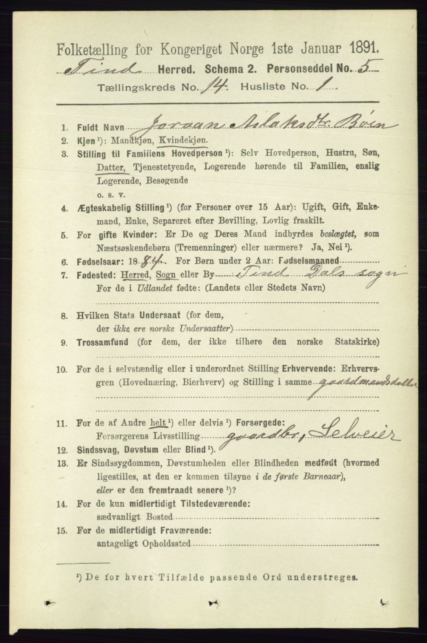 RA, 1891 census for 0826 Tinn, 1891, p. 2876