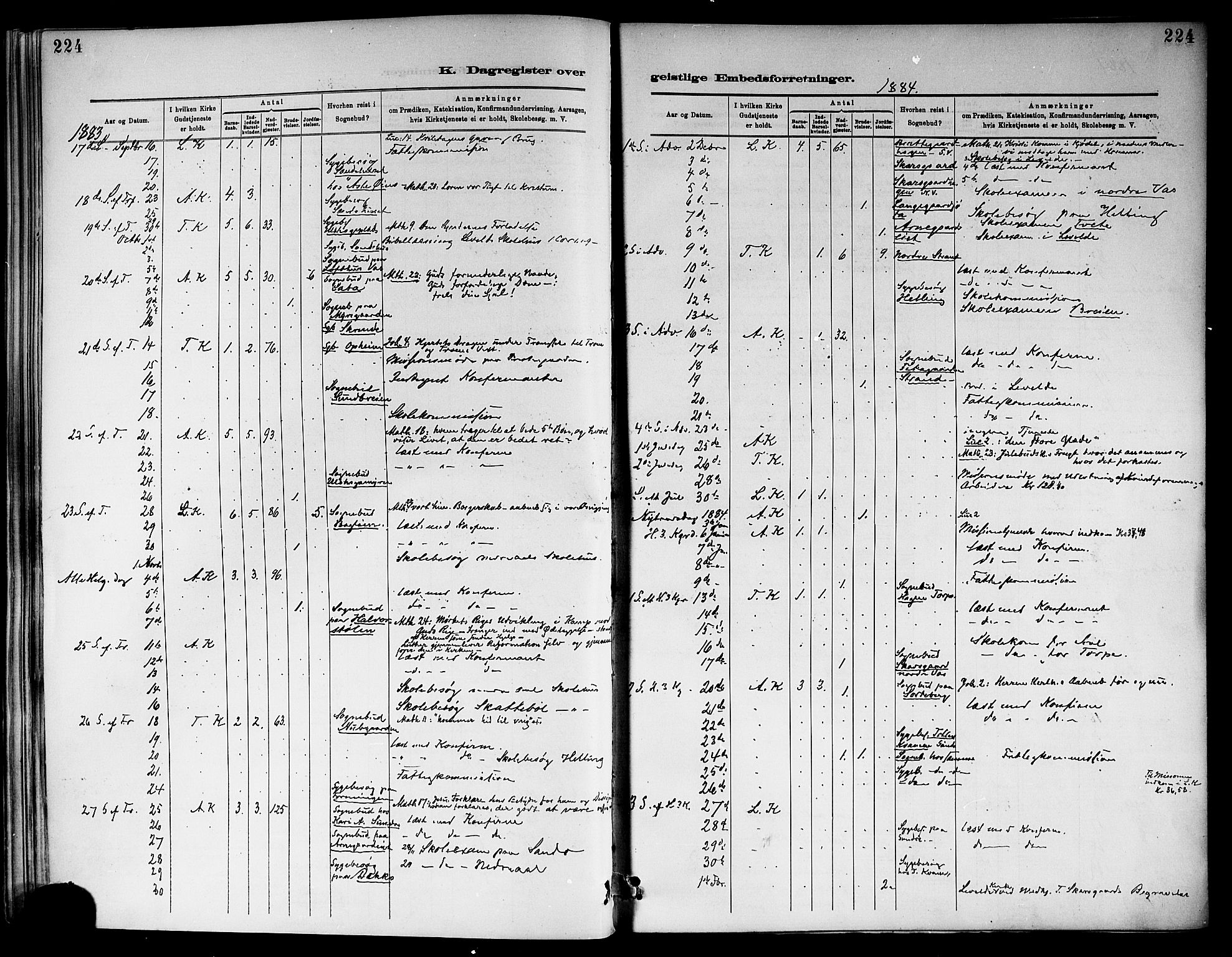 Ål kirkebøker, SAKO/A-249/F/Fa/L0008: Parish register (official) no. I 8, 1882-1896, p. 224