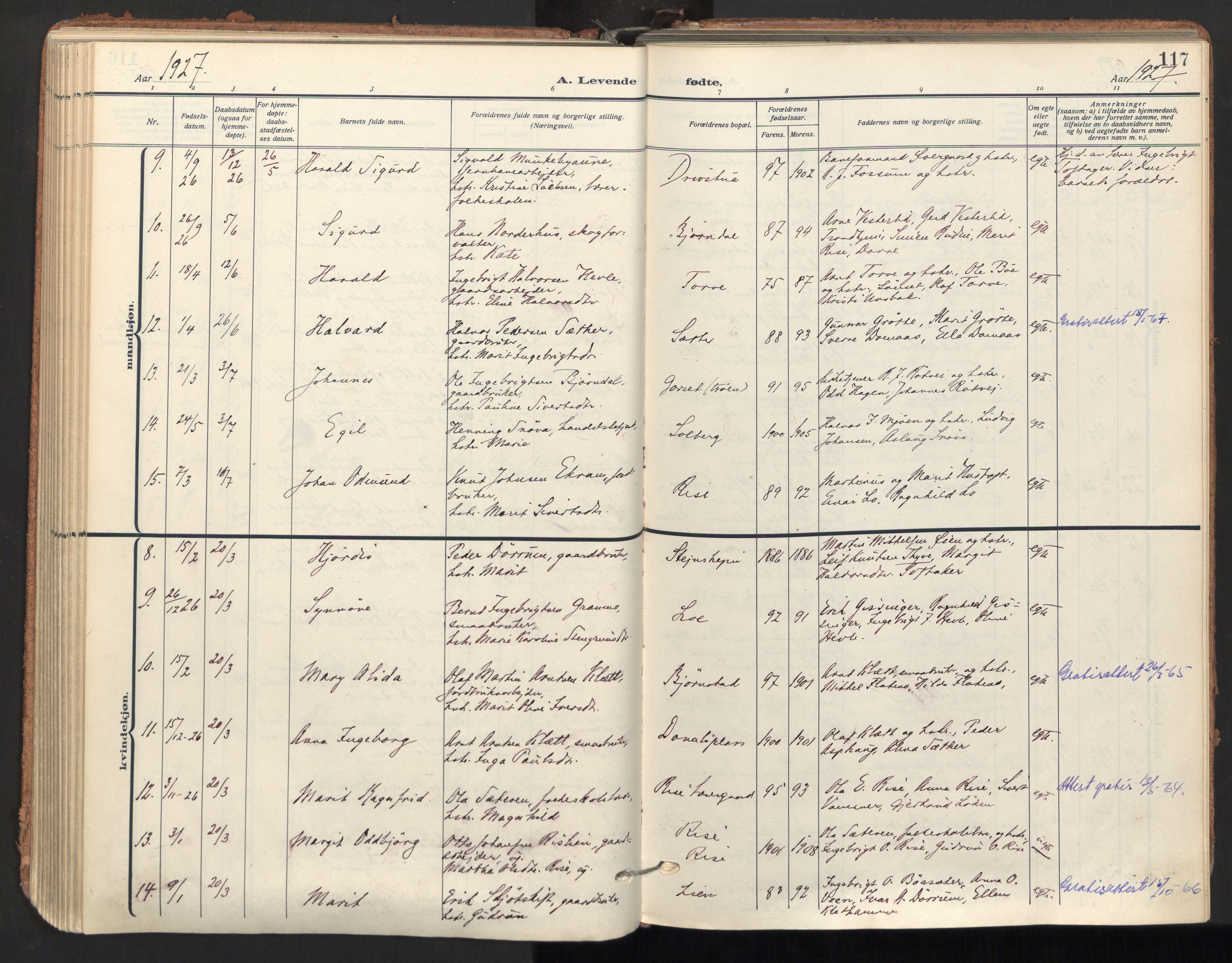 Ministerialprotokoller, klokkerbøker og fødselsregistre - Sør-Trøndelag, SAT/A-1456/678/L0909: Parish register (official) no. 678A17, 1912-1930, p. 117