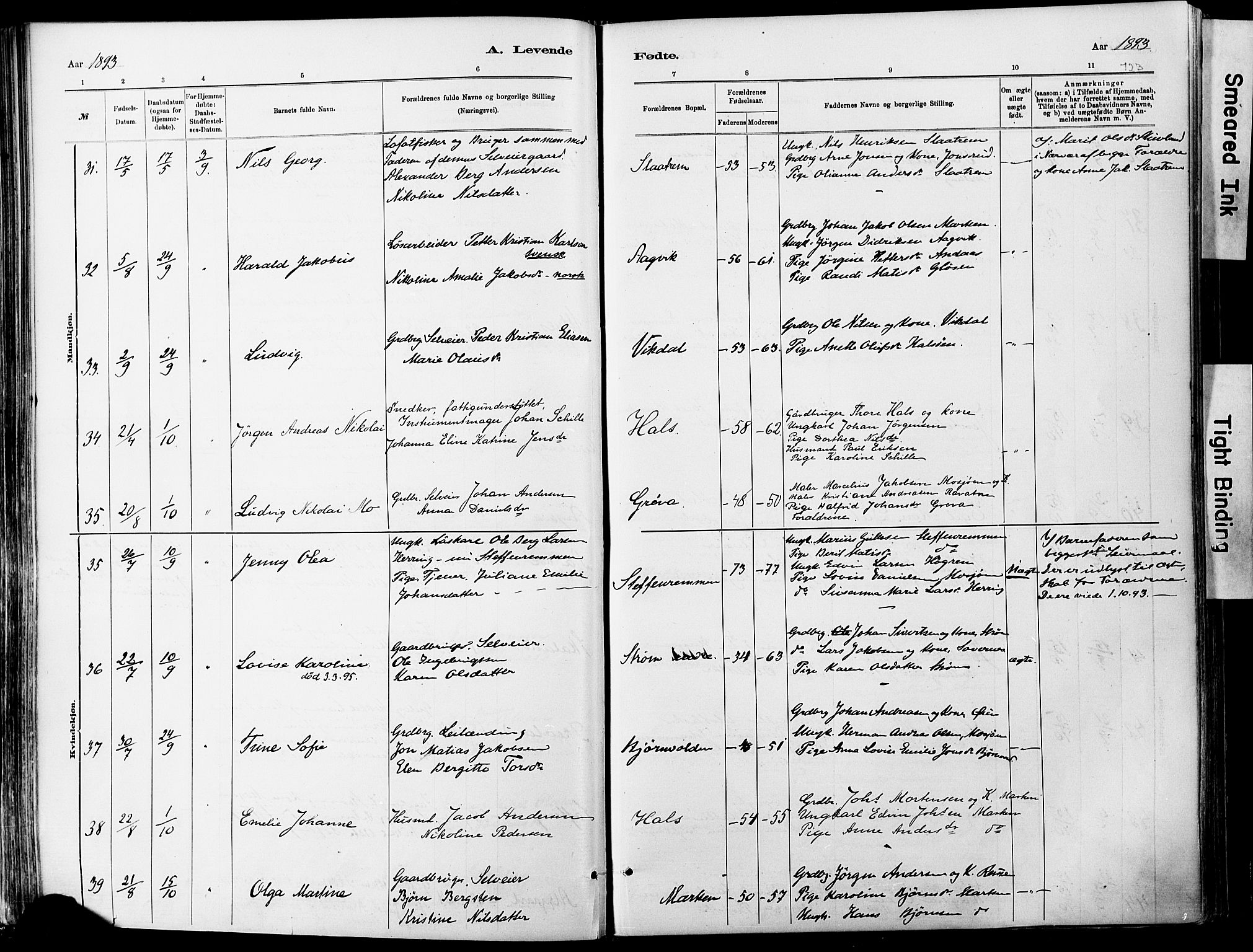 Ministerialprotokoller, klokkerbøker og fødselsregistre - Nordland, AV/SAT-A-1459/820/L0295: Parish register (official) no. 820A16, 1880-1896, p. 123