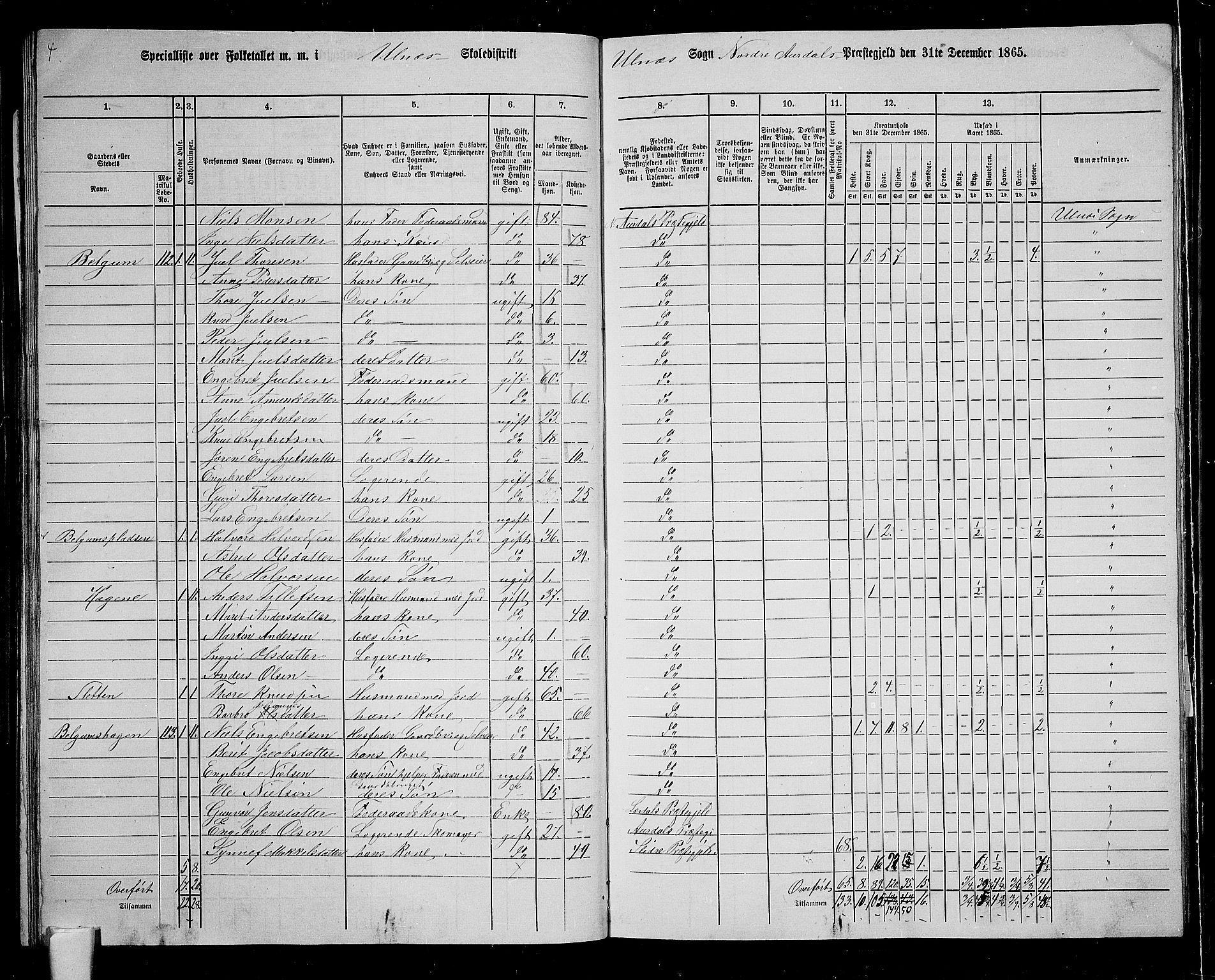 RA, 1865 census for Nord-Aurdal, 1865, p. 113