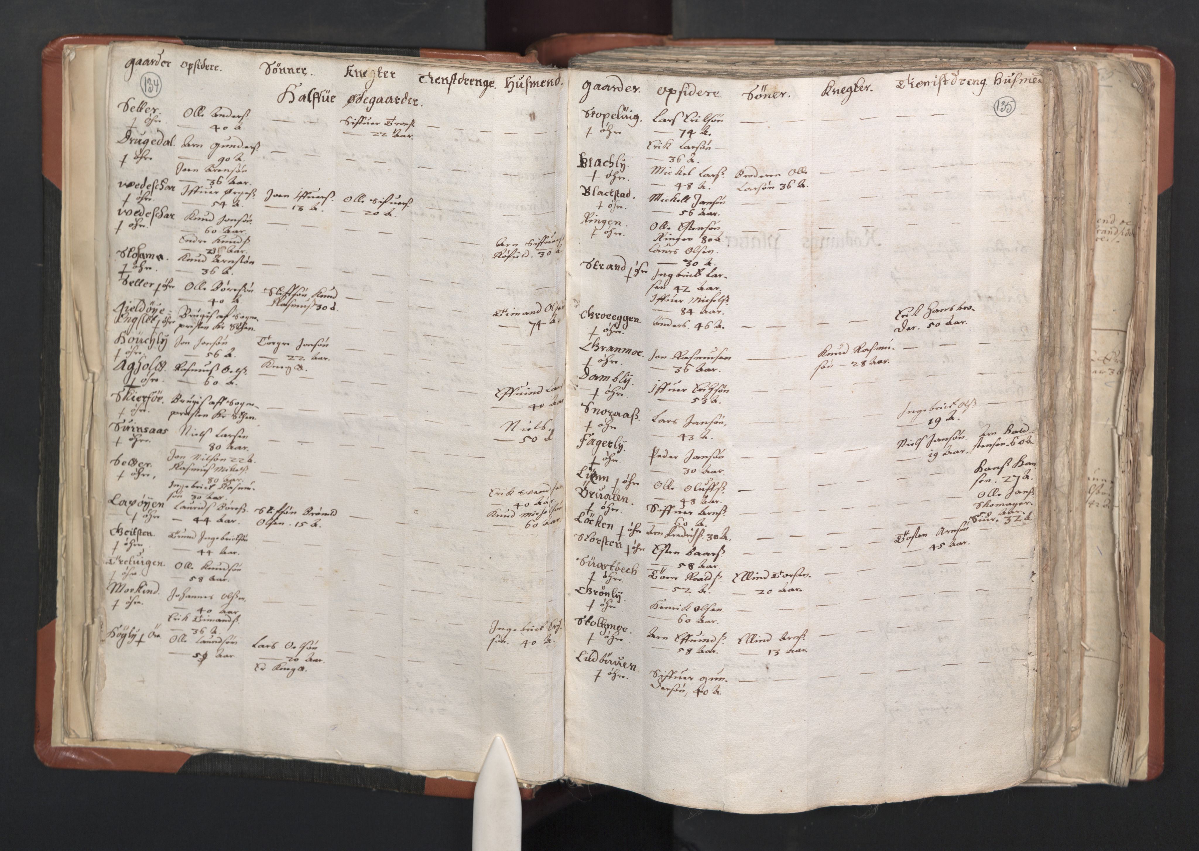RA, Vicar's Census 1664-1666, no. 31: Dalane deanery, 1664-1666, p. 134-135